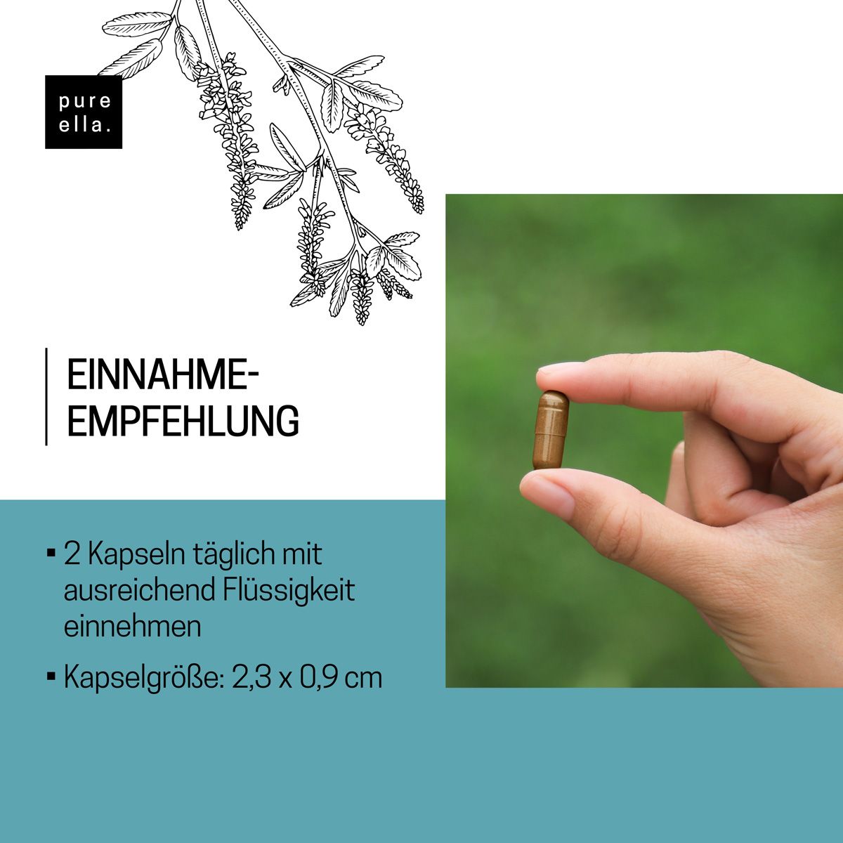 Hand hält eine Kapsel. Text: Einnahmeempfehlung: 2 Kapseln täglich. Kapselgröße: 2,3 x 0,9 cm.