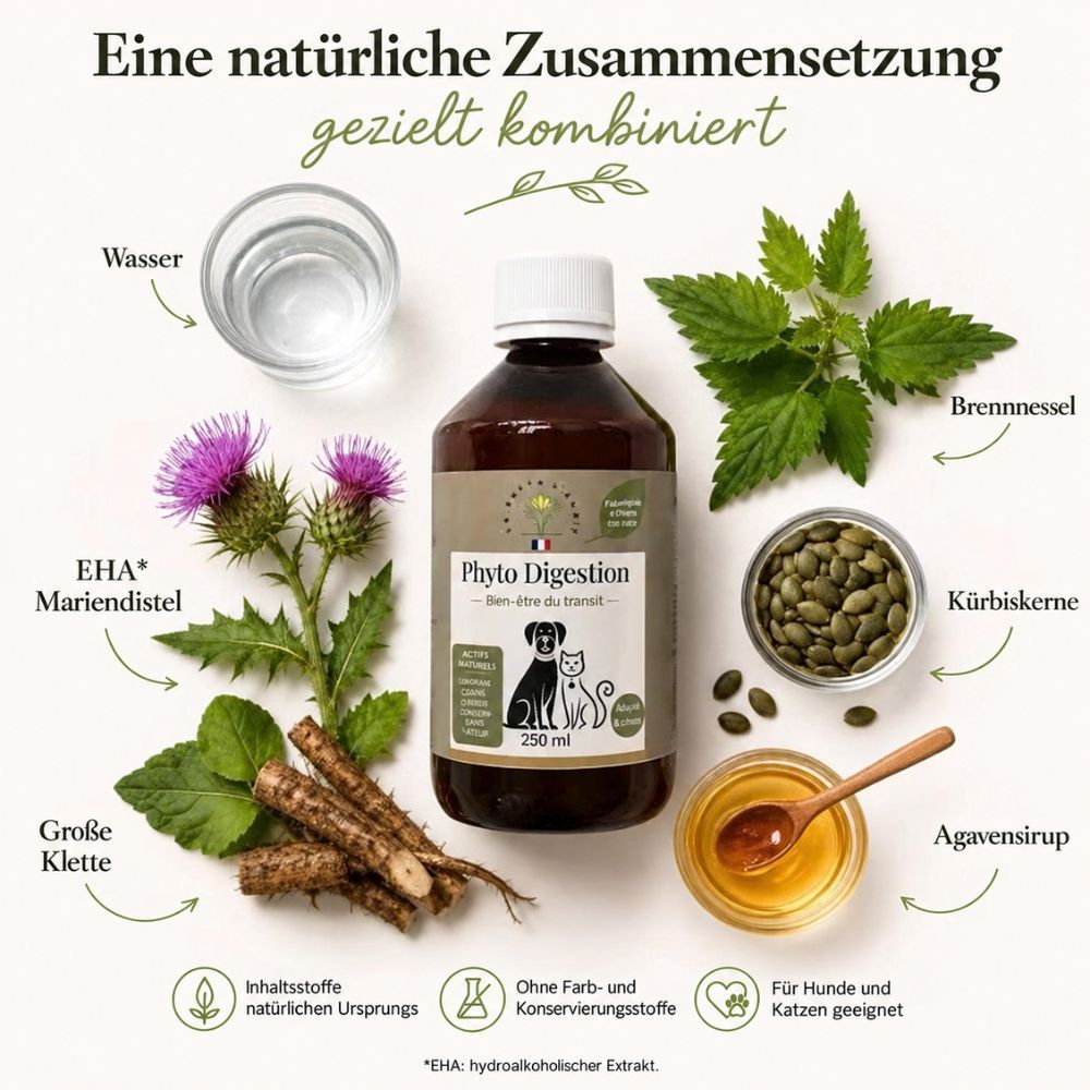 Braune Glasflasche mit Phyto Digestion Flüssigkeit, 250ml. Zutaten: Wasser, Mariendistel, Brennnessel, Kürbiskerne, Agavensirup.