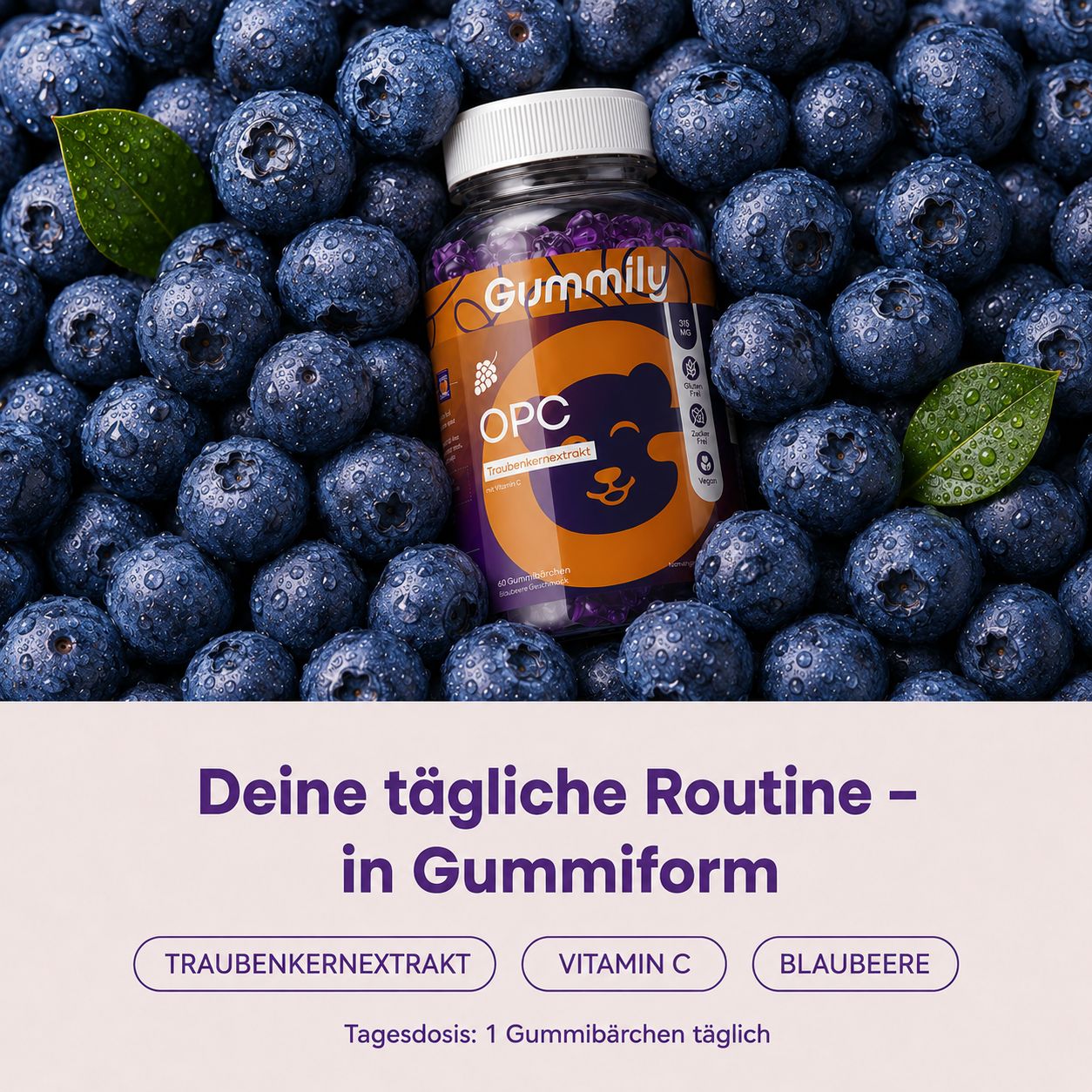 Gummily OPC Traubenkernextrakt Gummibärchen umgeben von frischen Blaubeeren.