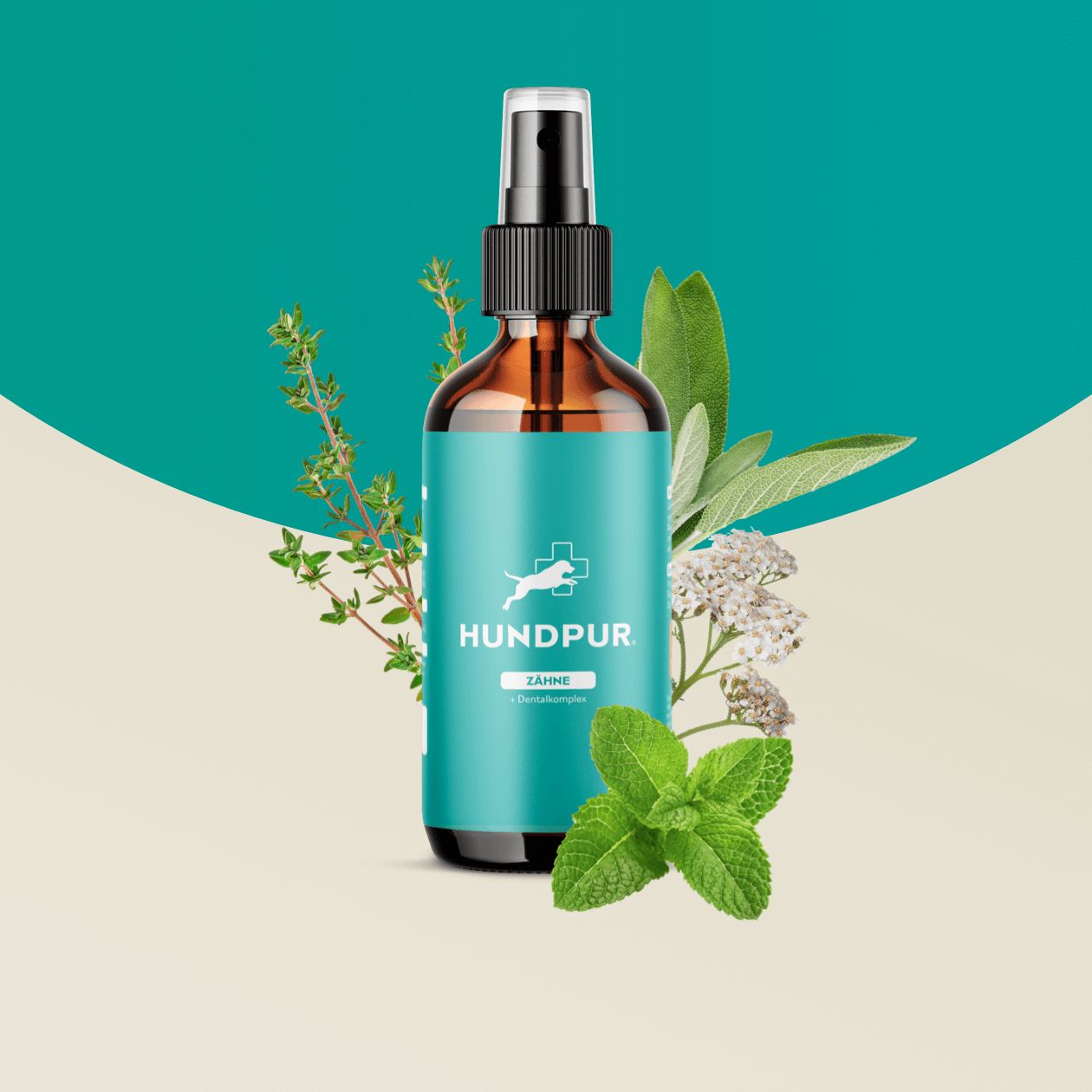 Braune Sprühflasche mit blauem Etikett. Text: Hundpur Zähne. Kräuter und Blätter umgeben die Flasche. Mint, Thymian und Schafgarbenblätter.