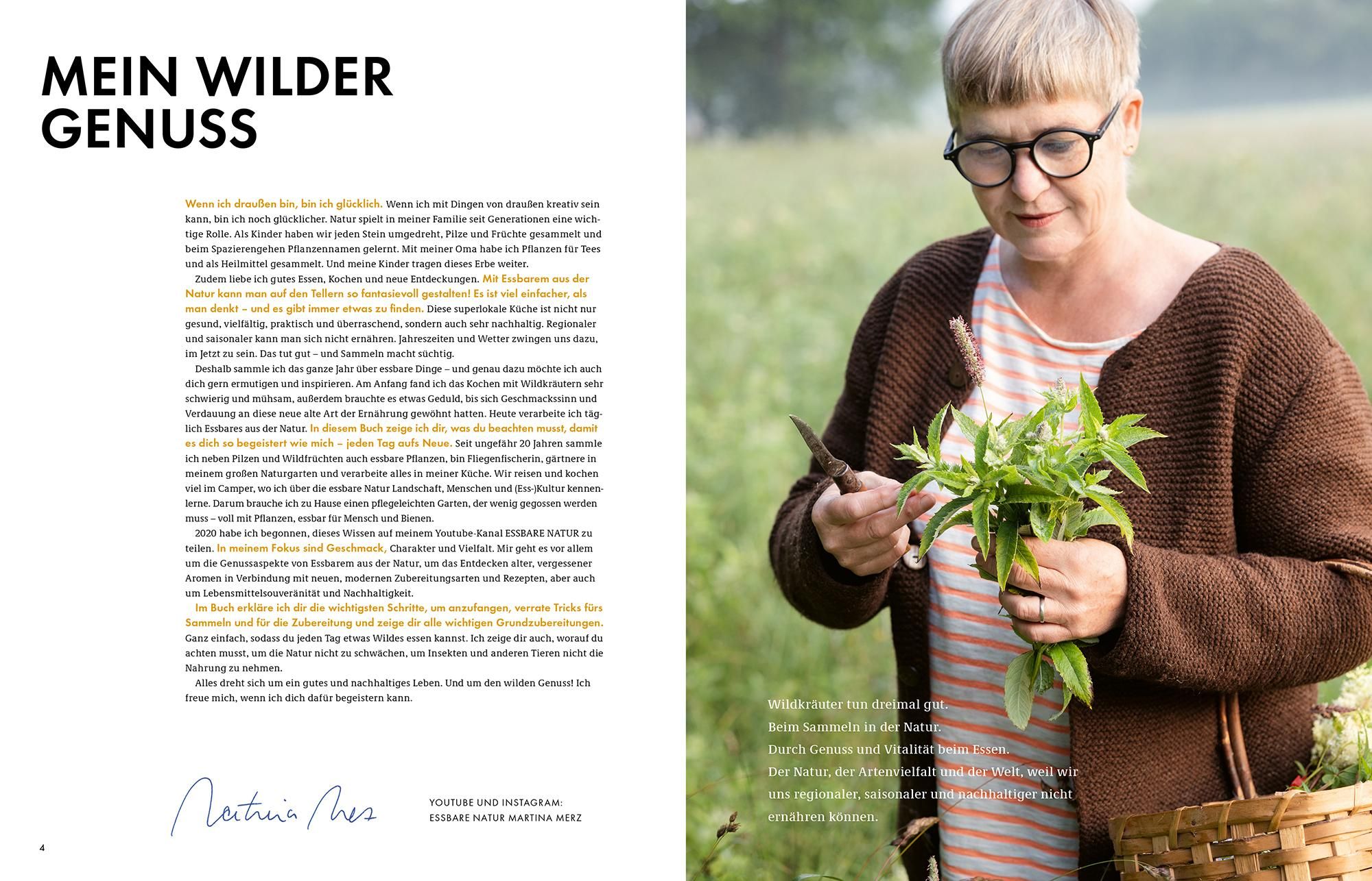 Wildkräuter – Bestimmen, Sammeln, Zubereiten