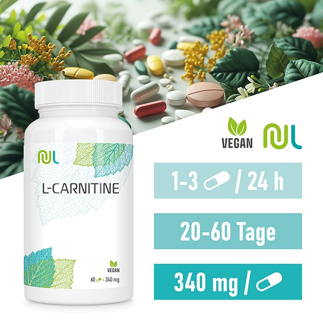 aminosäuren l carnitin NutriLife L-Carnitine - - vegan 60 St nutrifactor glutafair PROSUPPS L-Carnitina Líquida 3000, Style:Capsule
