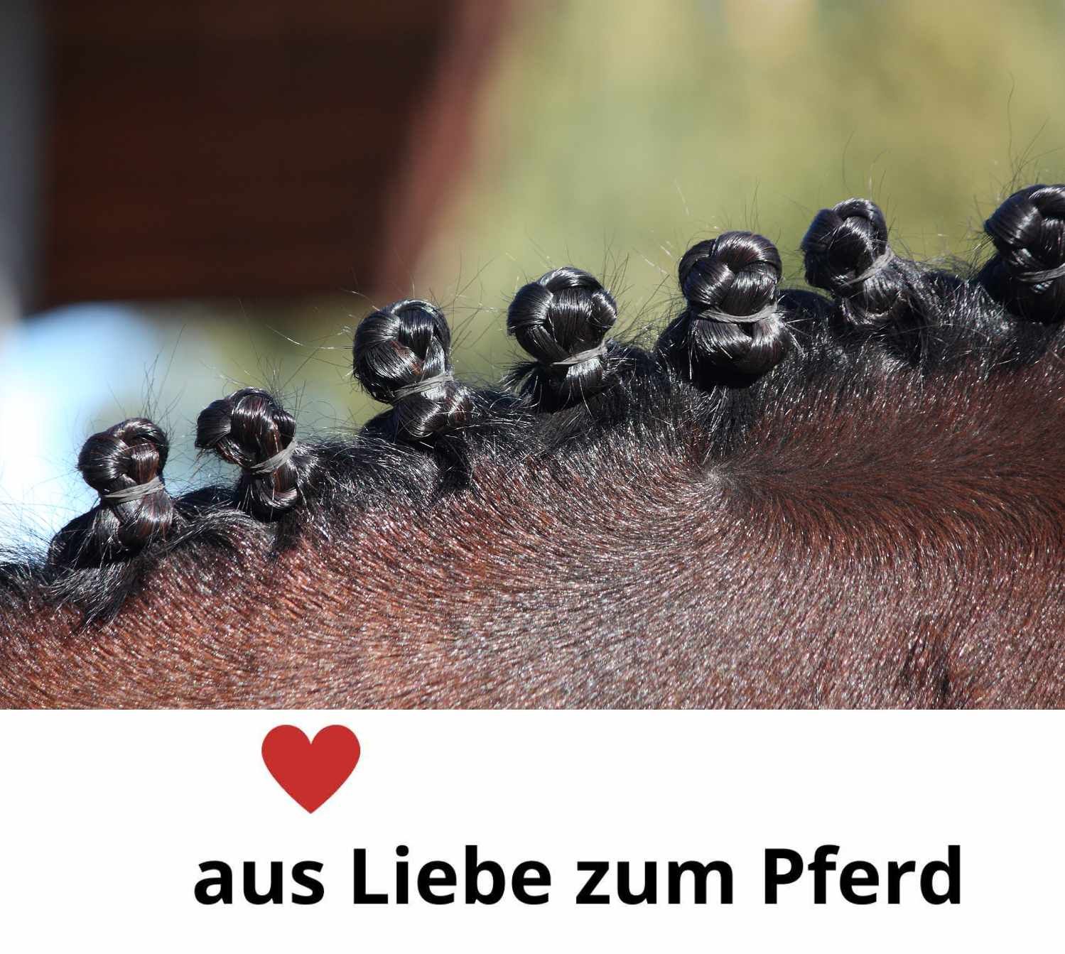 Effol Mähnengummi für Haare und Mähne