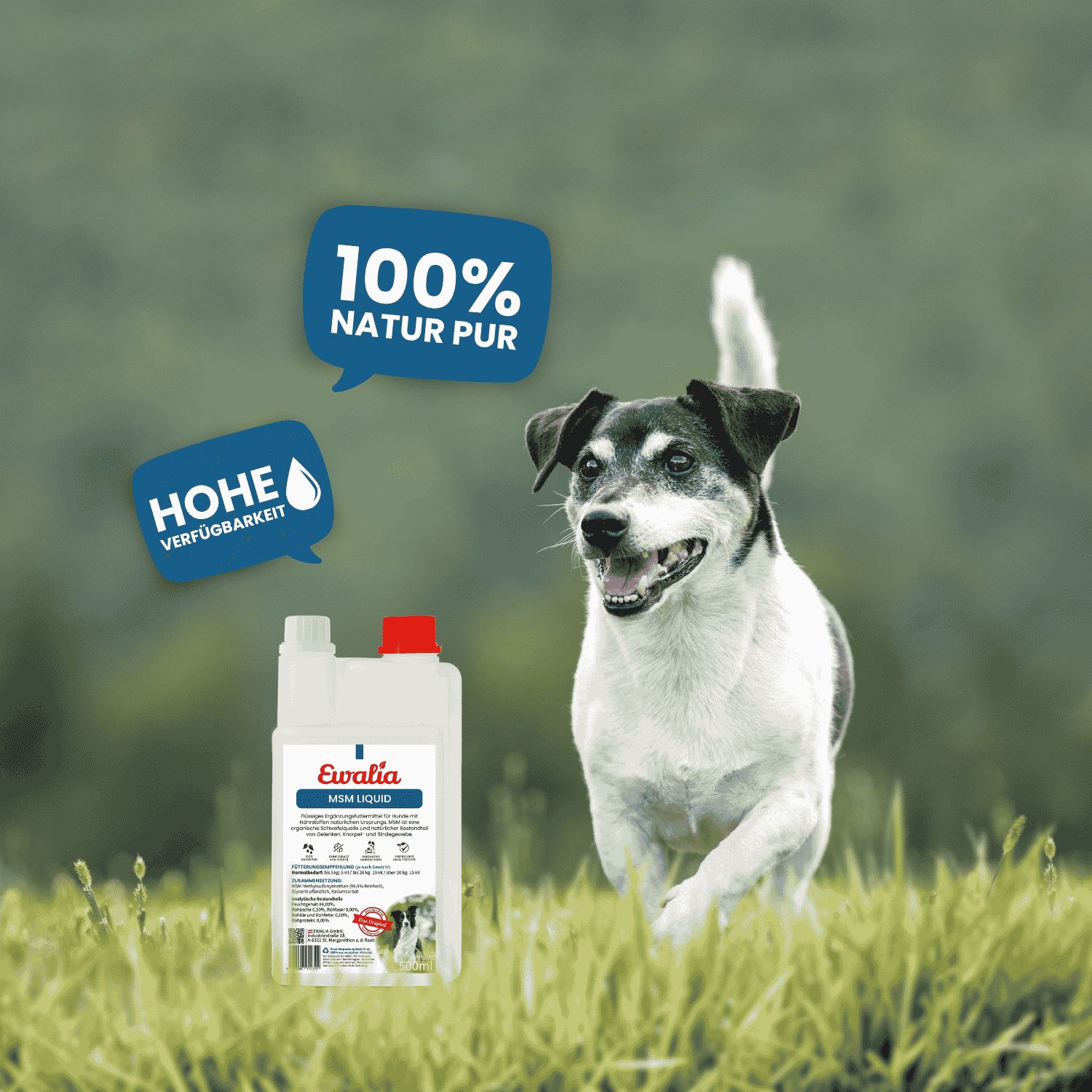 EWALIA MSM Liquid für Hunde