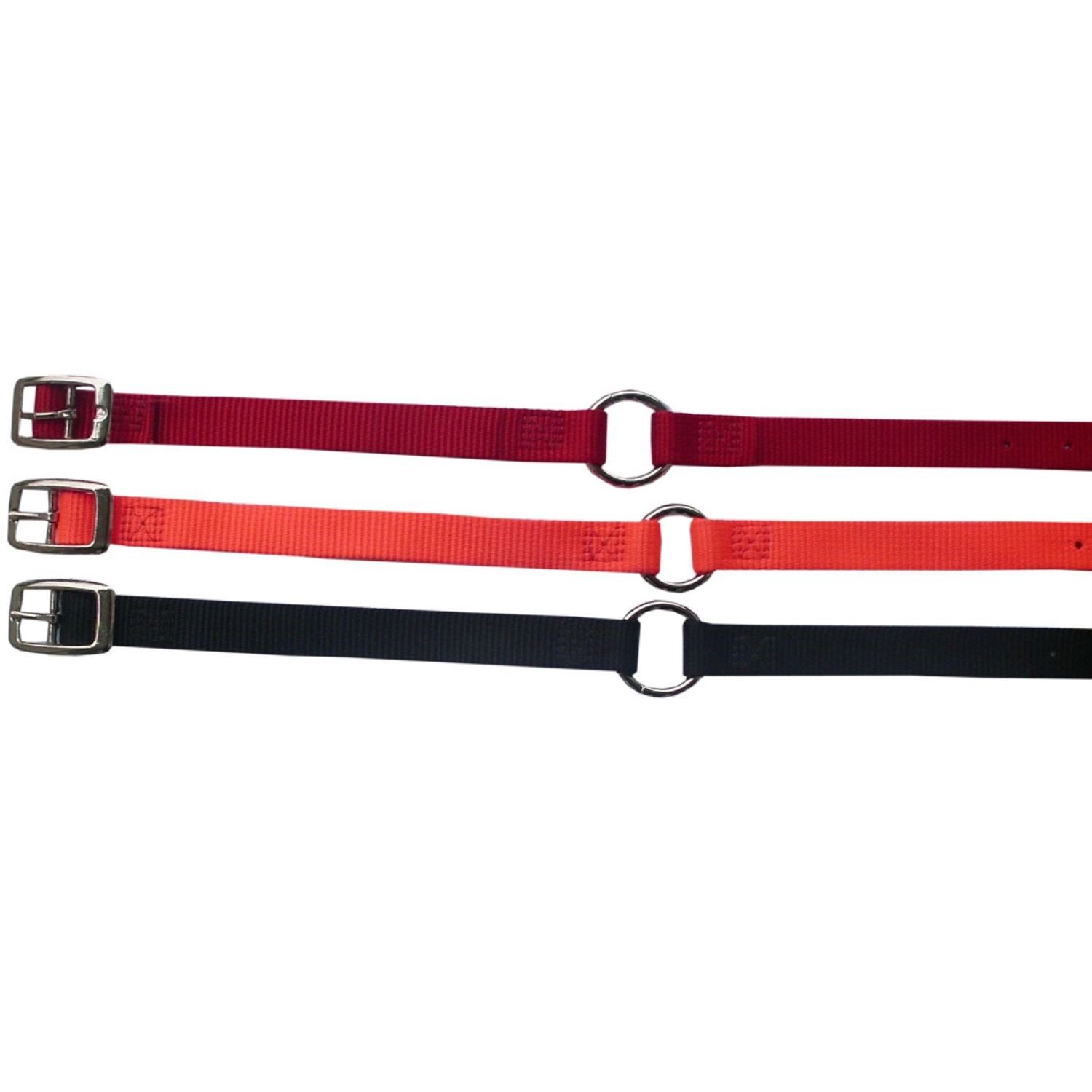 Drei Hundehalsbänder in Rot, Orange und Schwarz. Metallschließen und Ringe.