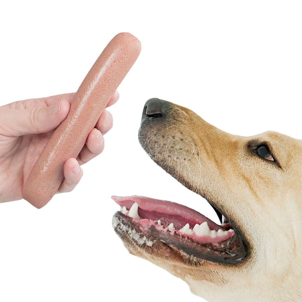 Eine Hand hält eine Wurst vor einen Hund. Der Hund öffnet das Maul.