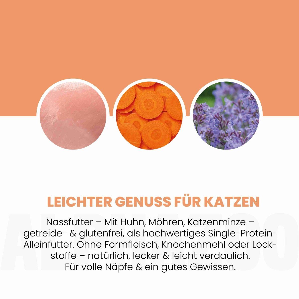 Drei Kreise mit Inhaltsstoffen: Huhn, Karotten, Katzenminze. Text: Leichter Genuss für Katzen. Nassfutter mit Huhn, Möhren, Katzenminze - getreide- & glutenfrei, als hochwertiges Single-Protein.