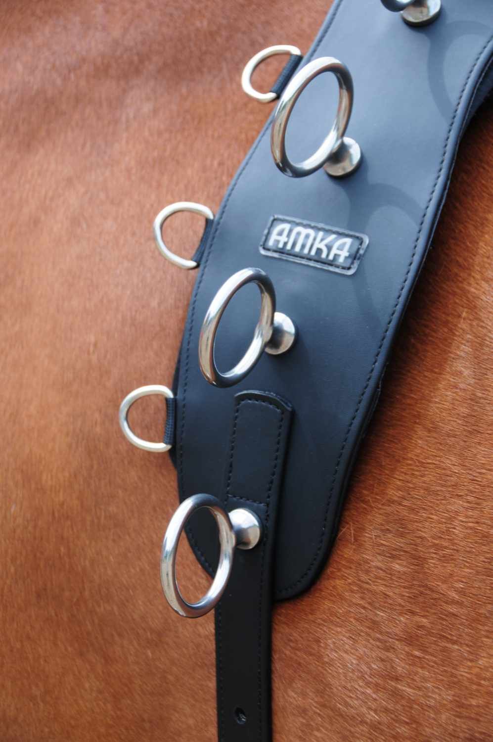 Schwarzer Longiergurt mit Metallringen und AMKA-Logo. Nahaufnahme am Pferd.