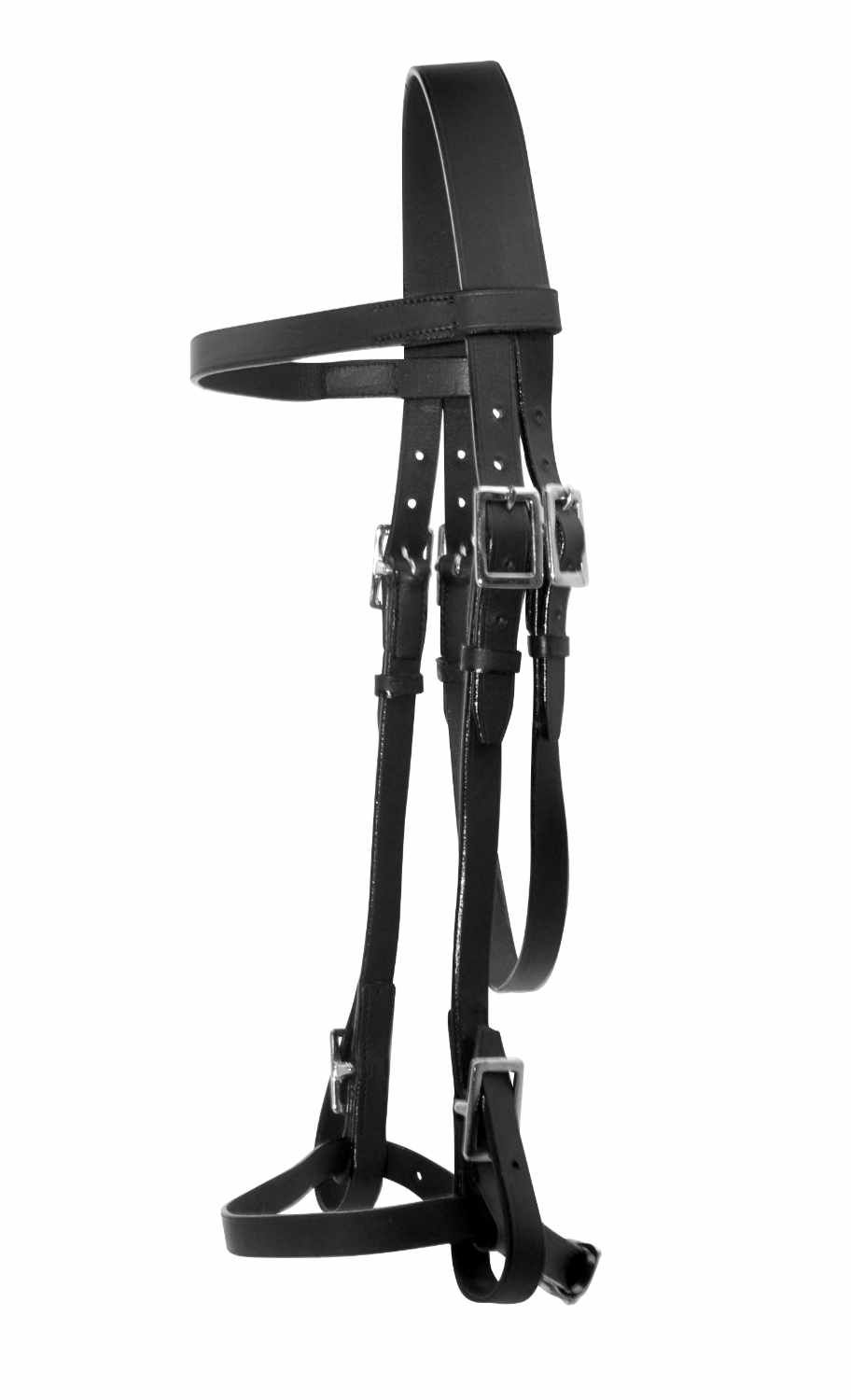 Schwarze Trense, Seitenansicht. Lederriemen mit silberfarbenen Schnallen.