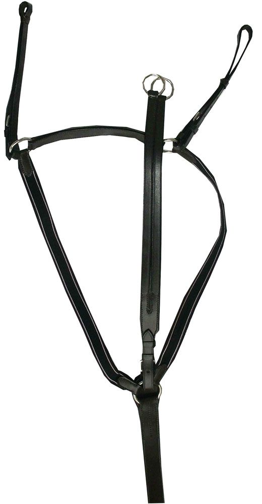 Schwarzes Vorderzeug mit elastischen Einsätzen und Ringen. Lederriemen und Metallbeschläge. Für Pferde.