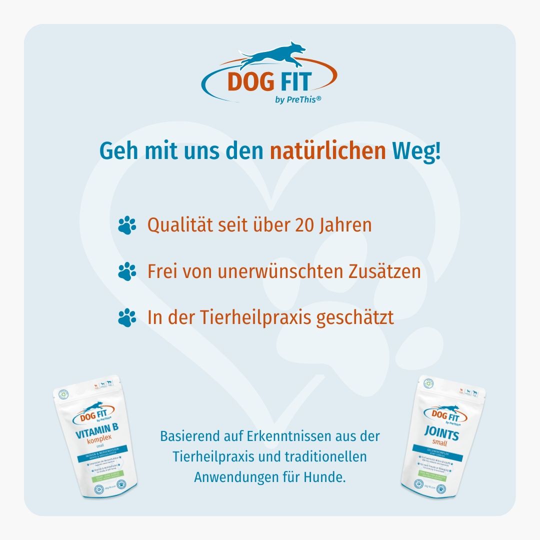 DOG FIT by PreThis® JOINTS & VITAMIN B Kombiset (small)