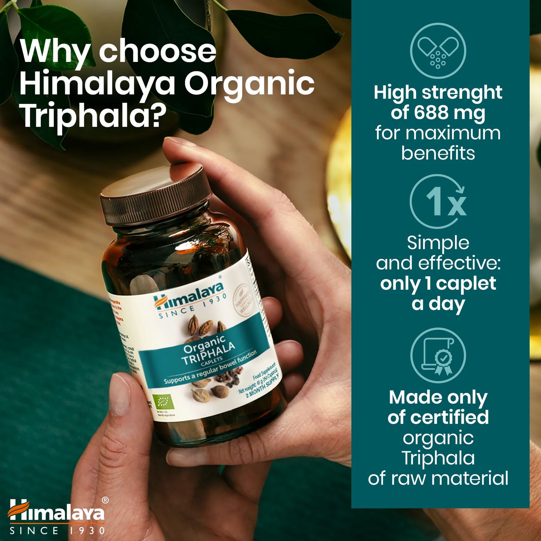 Himalaya Bio Triphala Flasche in Hand. Text: 688 mg für maximale Vorteile, 1 Kapsel täglich, zertifiziert.