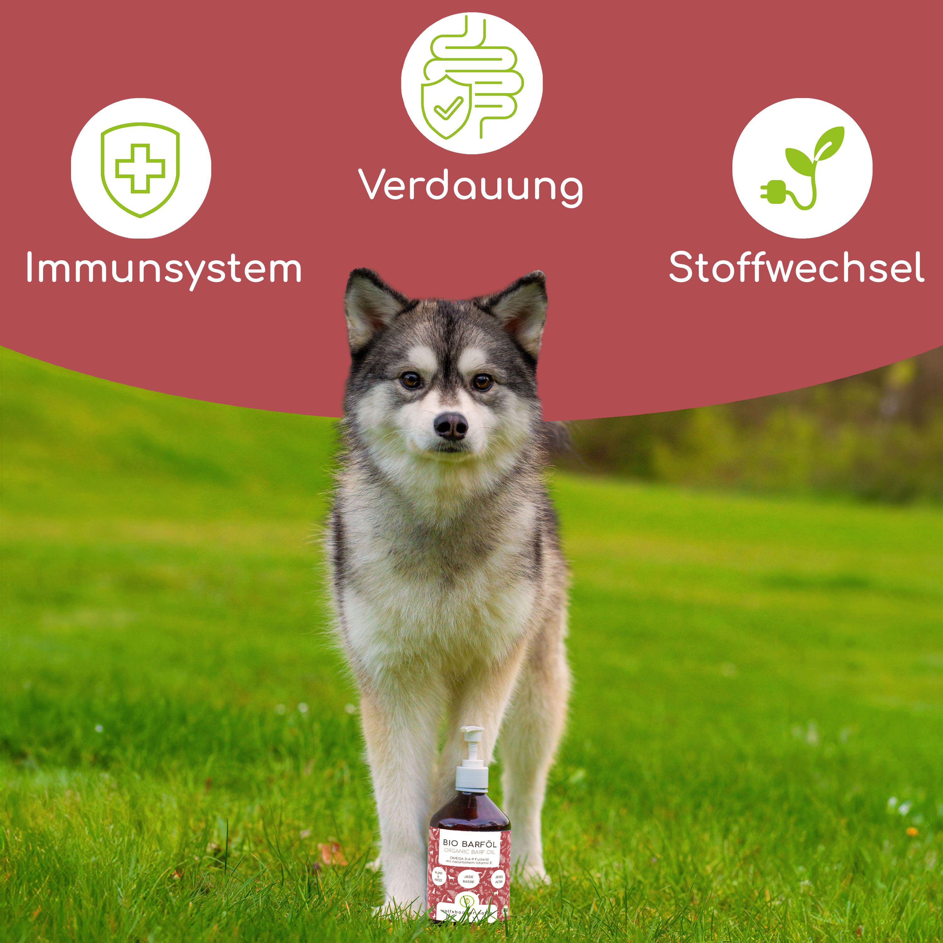 Hund vor Grünfläche mit Produktflasche. Aufschrift: BIO BARF Öl. Symbole für Immunsystem, Verdauung und Stoffwechsel.