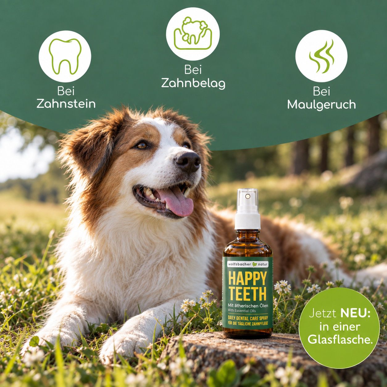 Wolfsbacher Natur Happy Teeth Dental Care Spray mit ätherischen Ölen für Hunde.