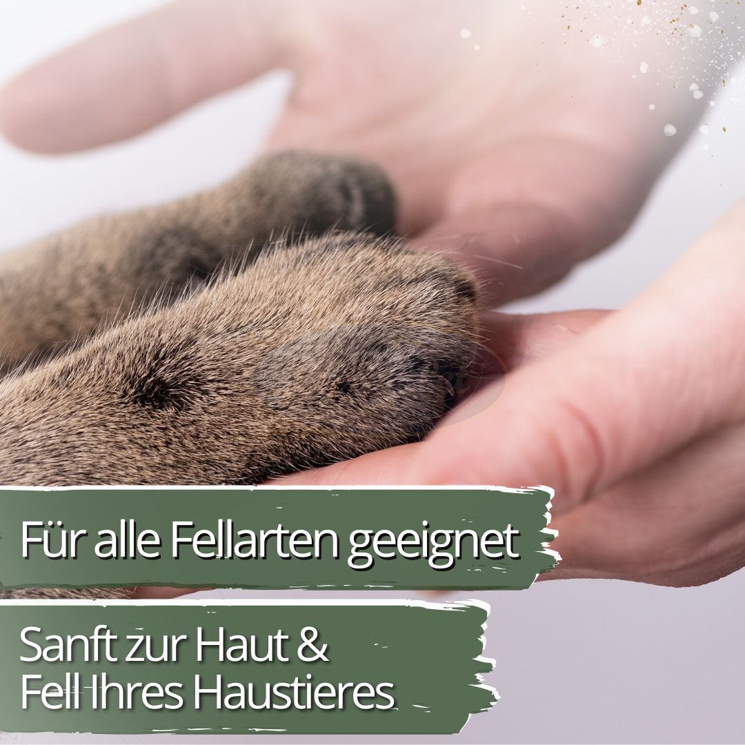 IPERON® SPOT-ON Katzen
