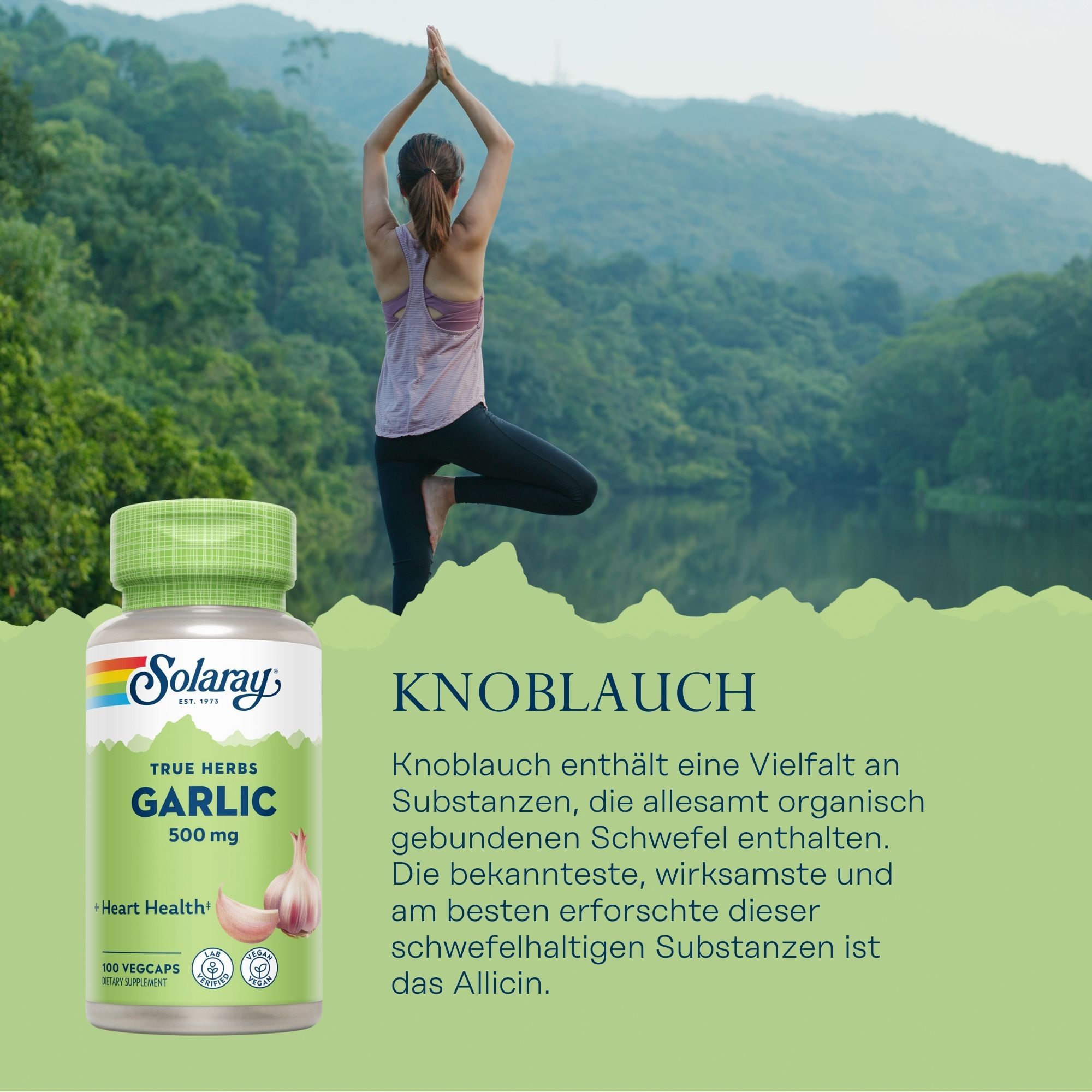 Grüne Flasche Solaray Knoblauch 500 mg. Aufschrift: True Herbs Garlic, 500 mg, 100 Vegcaps. Abbildung einer Knoblauchzehe.