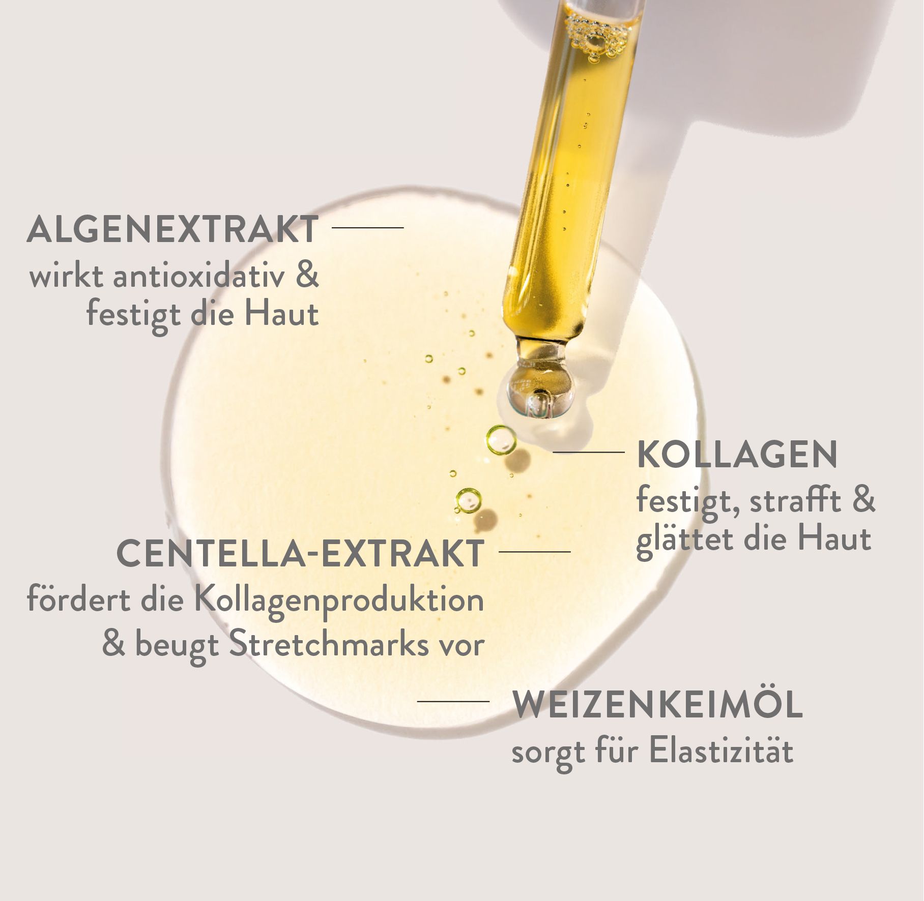 JB SKIN PREMIUM Bodyrepair Ölserum