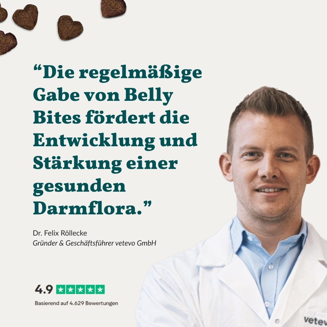 Mann im weißen Kittel. Text: Regelmäßige Gabe von Belly Bites fördert gesunde Darmflora. Zitat von Dr. Felix Röllecke.