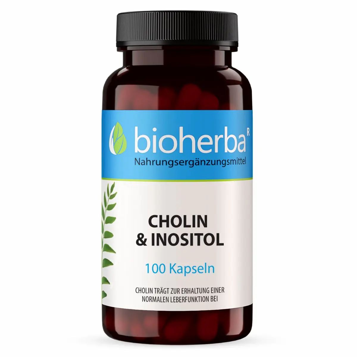 Braune Glasflasche mit schwarzem Deckel. Etikett mit blauem Streifen, weißer Schrift: Bioherba, Cholin & Inositol, 100 Kapseln.