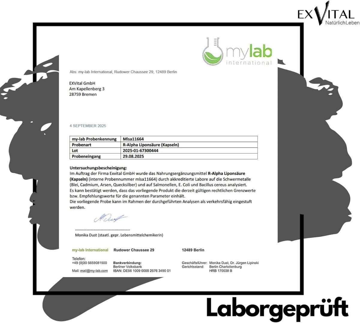 Laborbericht von mylab international. Bestätigt die Analyse von R-Alpha-Liponsäure Kapseln. Logo EXVital.