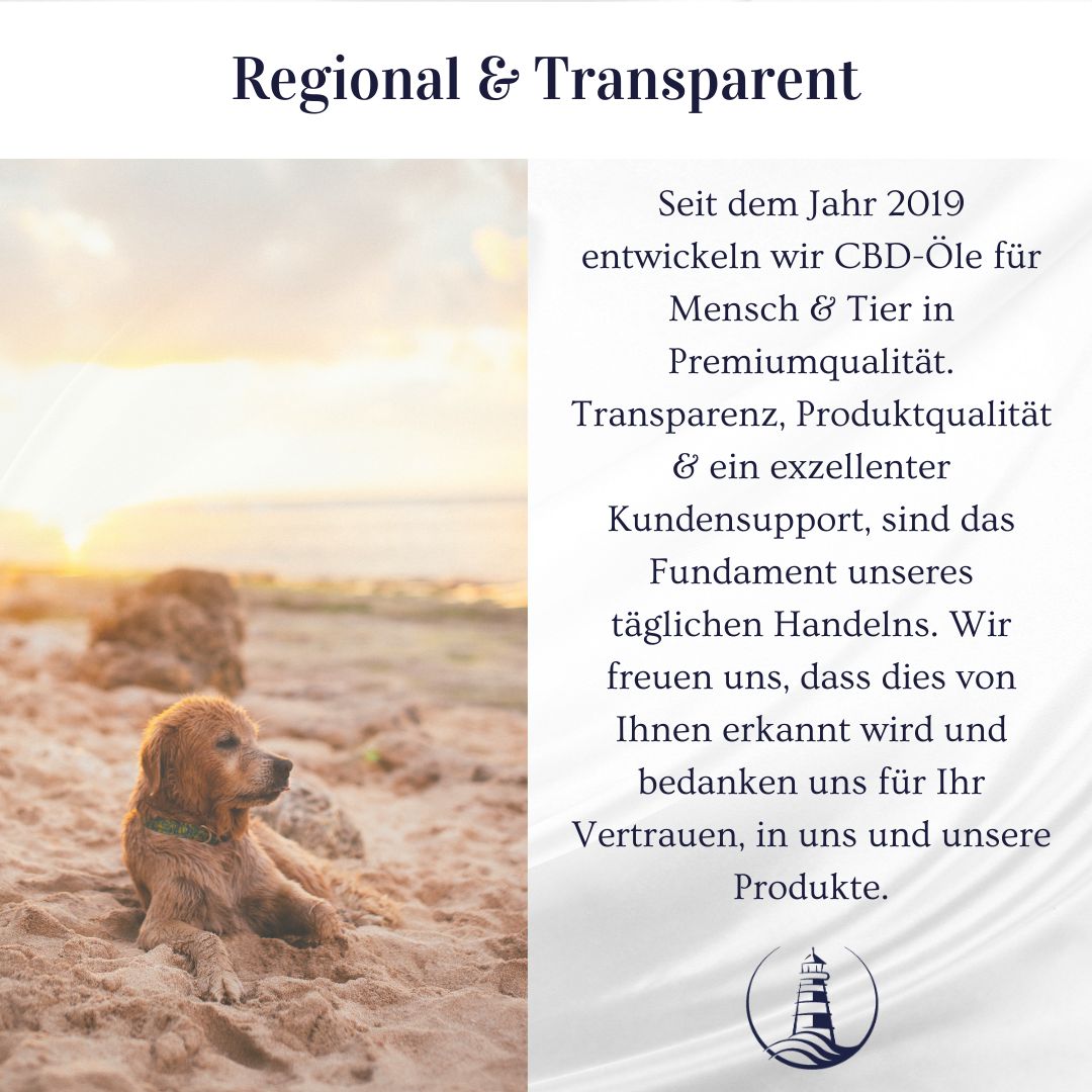 Hund am Strand. Text: Regional & Transparent. Seit 2019 CBD-Öle für Mensch & Tier.