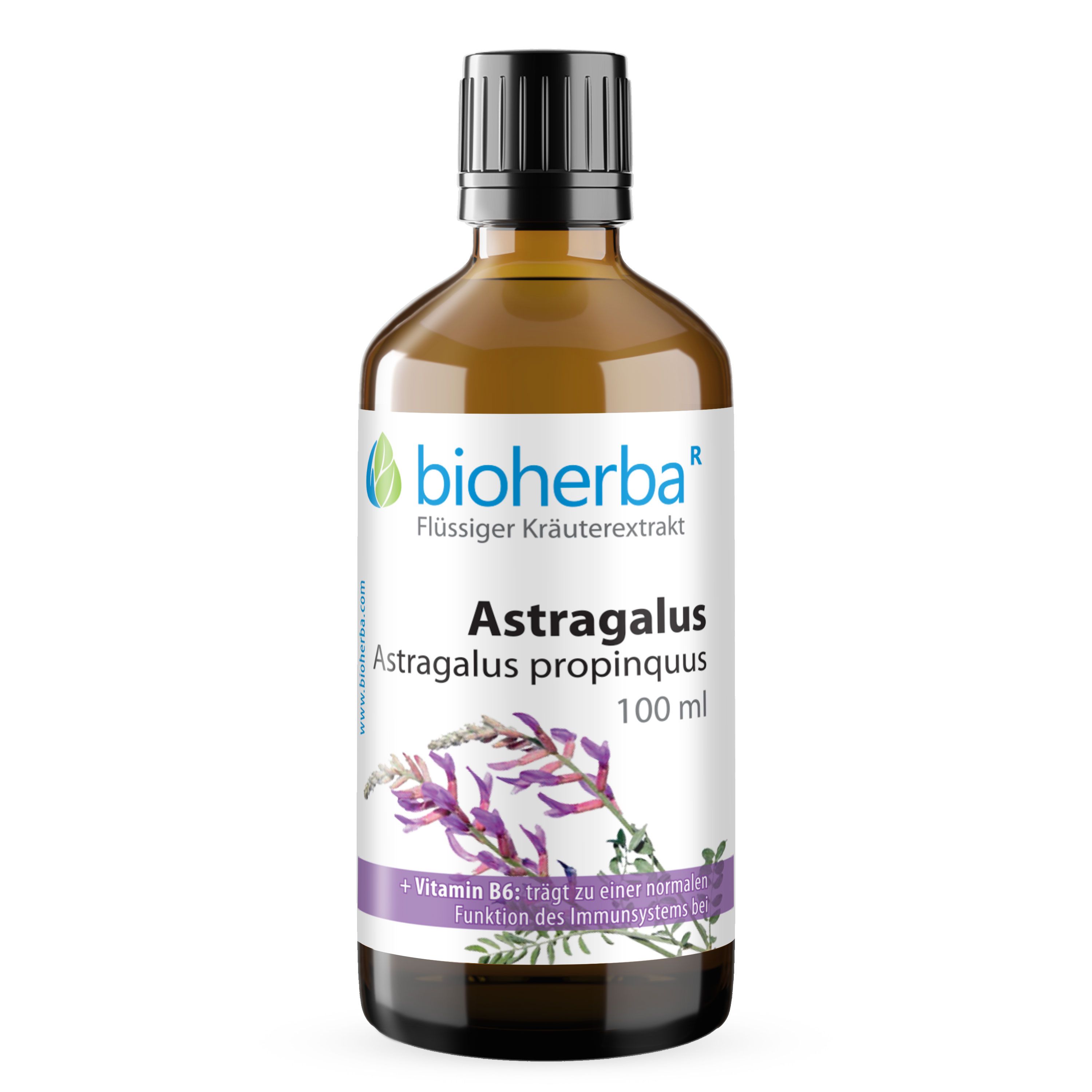Braune Glasflasche mit weißem Etikett. Bioherba Astragalus Tinktur, 100 ml. Schwarzer Schraubverschluss. Produktabbildung.