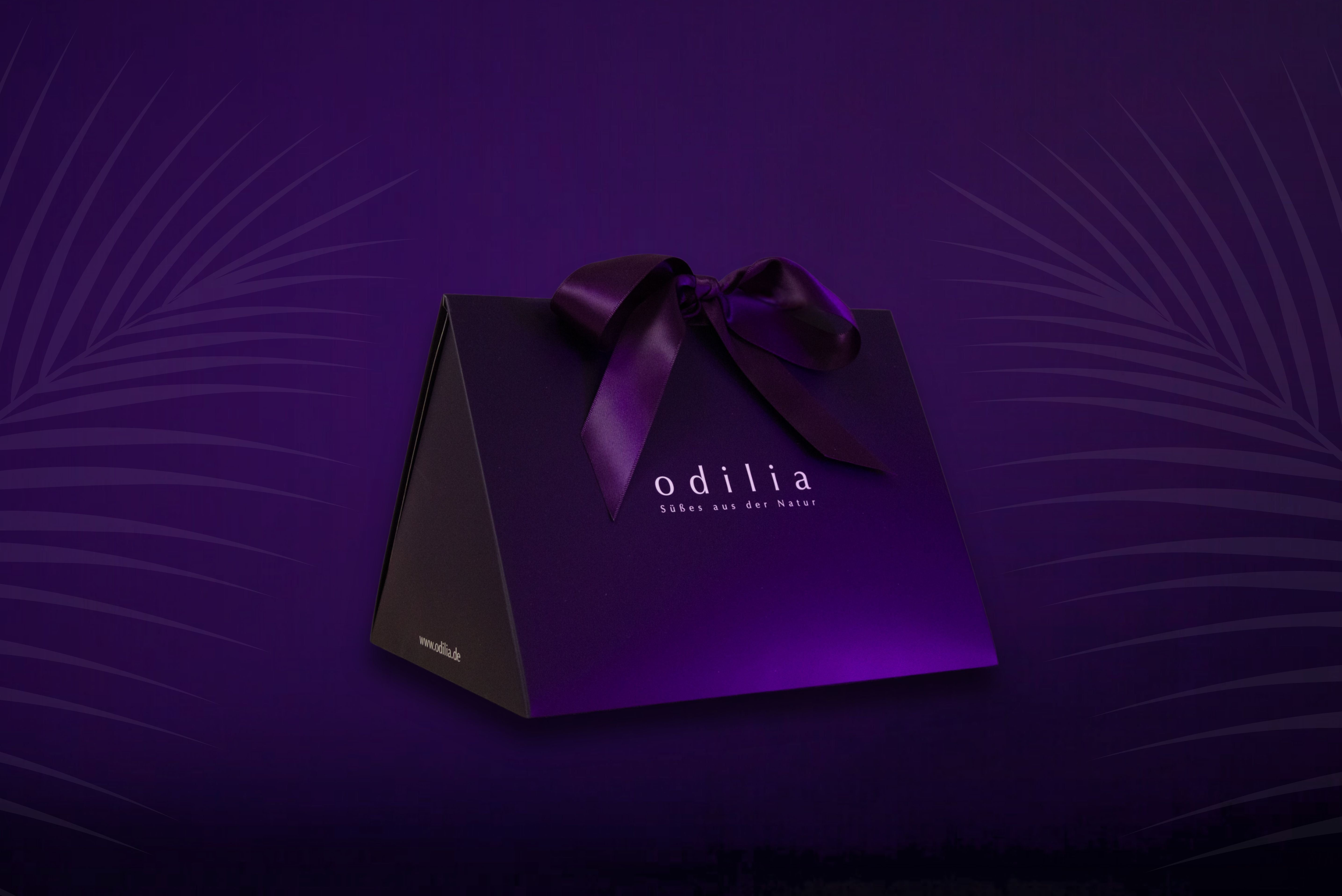 Geschlossene Geschenkbox von Odilia mit Schleife, gefüllt mit Datteln.