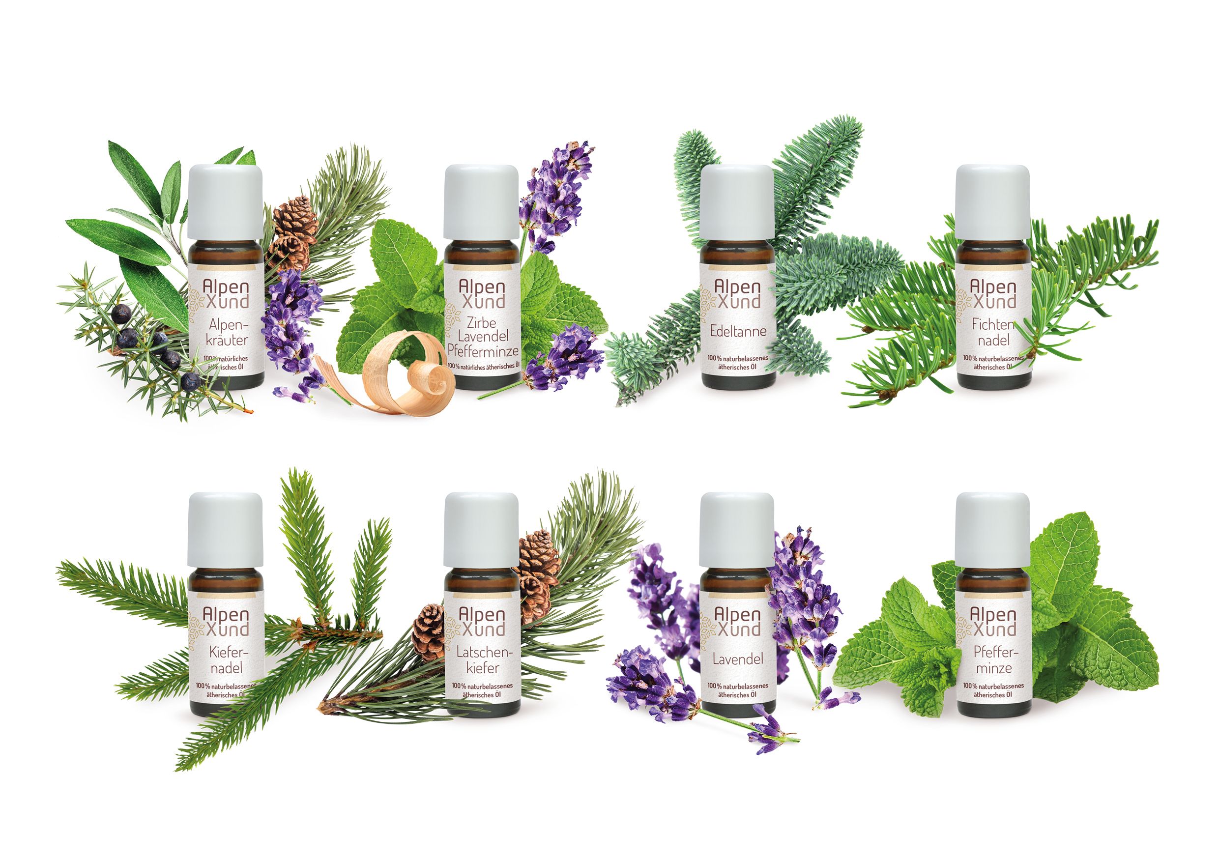 Acht kleine Glasflaschen mit weißen Deckeln und Etiketten. Verschiedene Kräuter und Pflanzen umgeben die Flaschen. Text: Alpenxund, verschiedene Düfte.