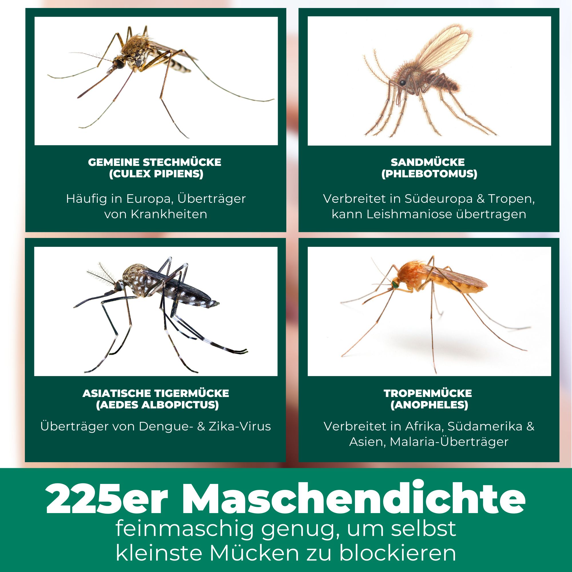 SILBEKRAFT Moskitonetz mit Haken