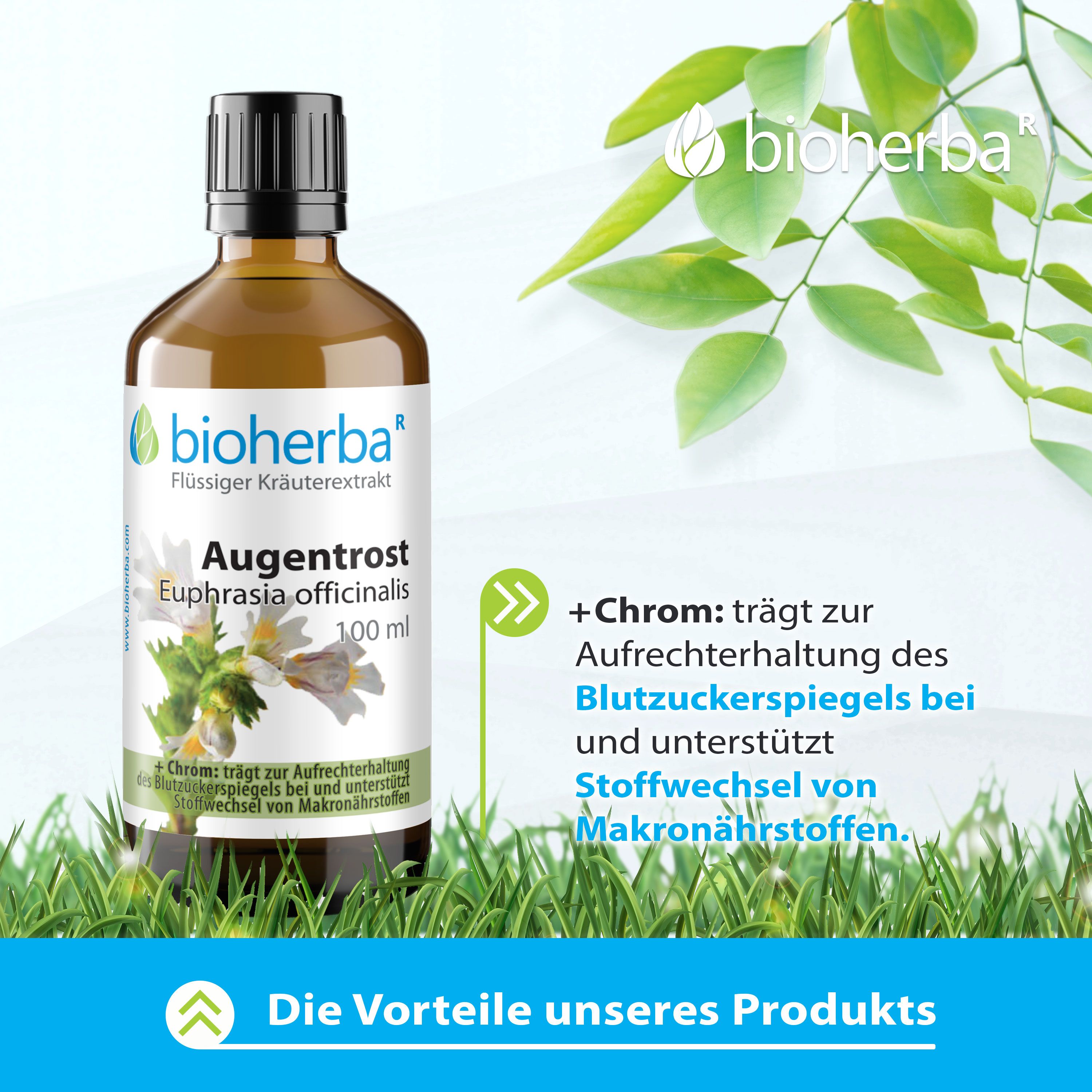 Braune Flasche mit schwarzem Deckel. Etikett: Augentrost, Euphrasia officinalis. Text: +Chrom. Bioherba-Logo. Hintergrund: Gras und Blätter.
