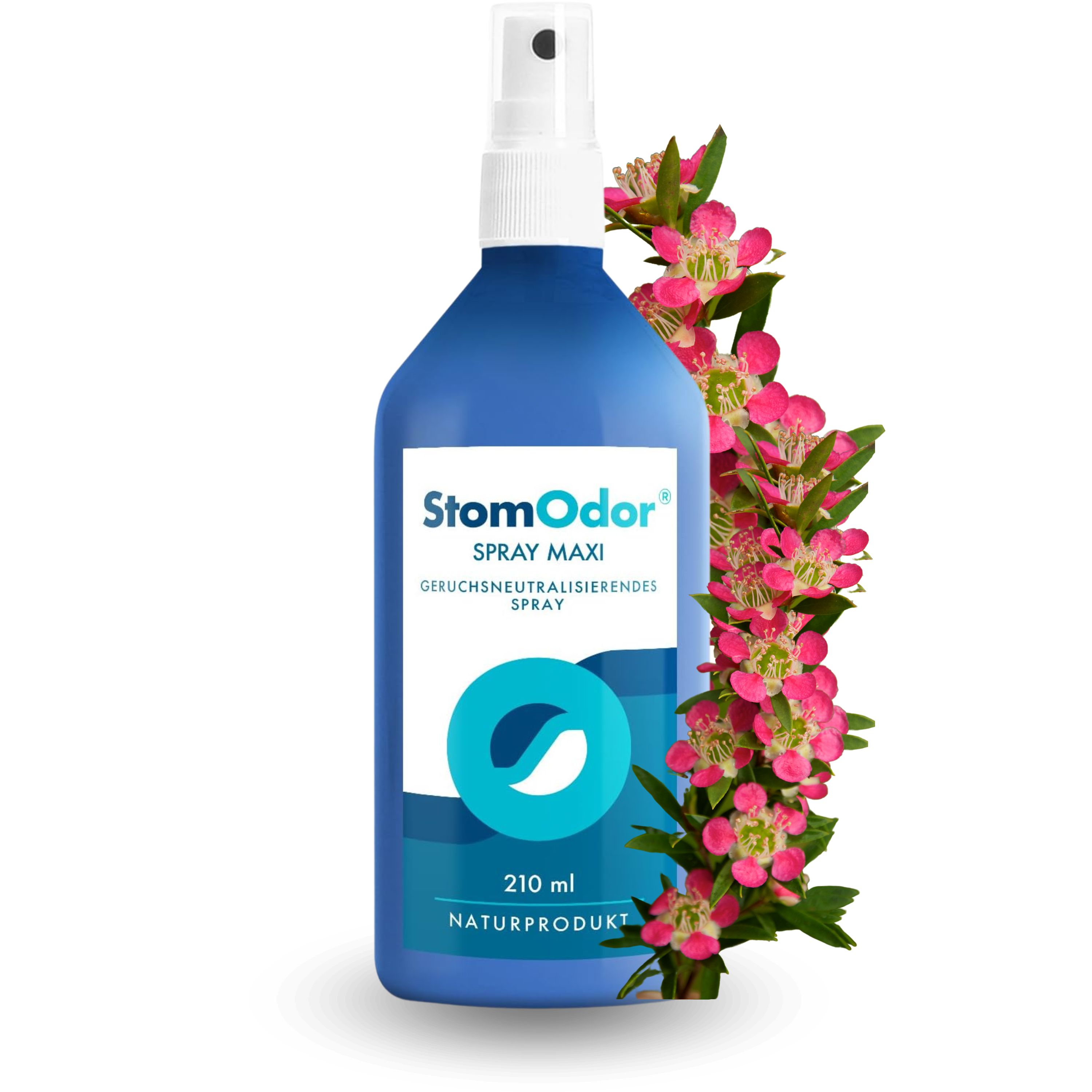 Blaue Sprühflasche mit weißem Sprühkopf. Aufschrift: StomOdor Spray maxi, 210 ml, Natural Product. Logo. Dekoration: rosa Blüten.