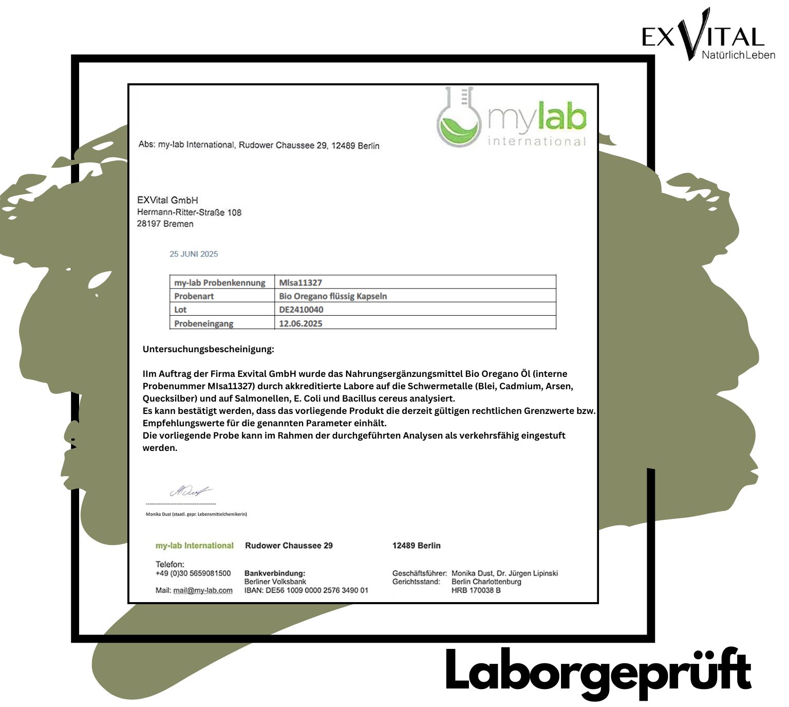 Laborbericht von mylab international.  Untersuchungsbescheinigung:  Bio Oregano Öl Kapseln.  Ergebnisse der Analyse.