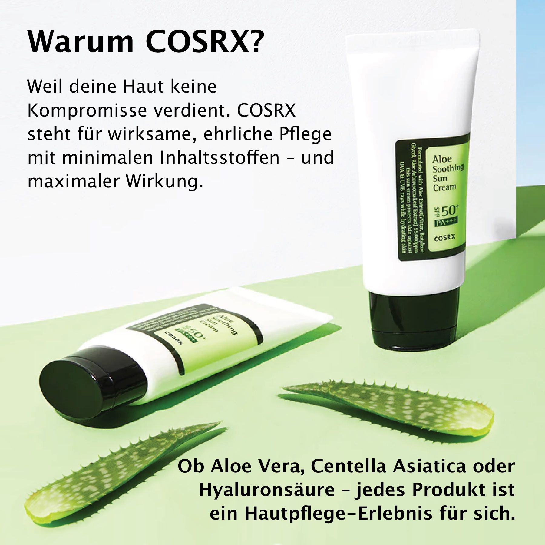 Zwei Tuben Sonnencreme und Aloe Vera Blätter. Text: Aloe Vera, Centella Asiatica oder Hyaluronsäure. COSRX Logo.