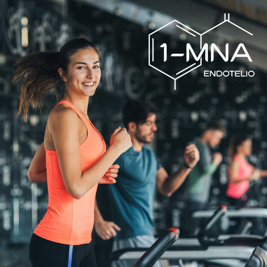Frau auf Laufband im Fitnessstudio. Im Hintergrund weitere Personen. Logo mit 1-MNA und Endotelio.