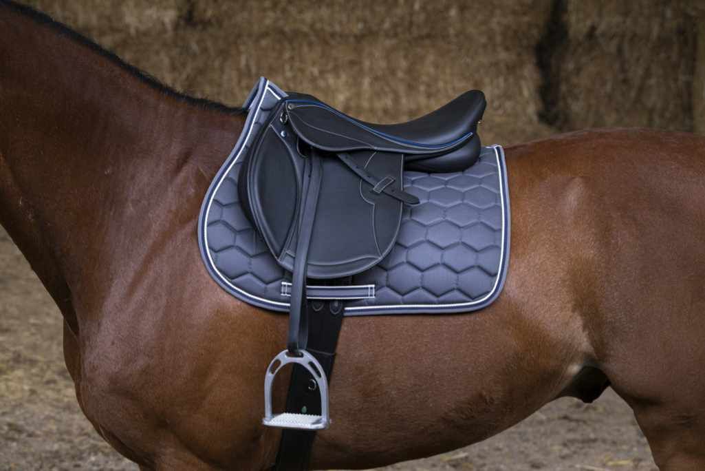 Schwarzer Sattel auf einem Pferd. Steigbügel und Gurt sichtbar. Sattel mit weißer Naht und blauem Akzent.