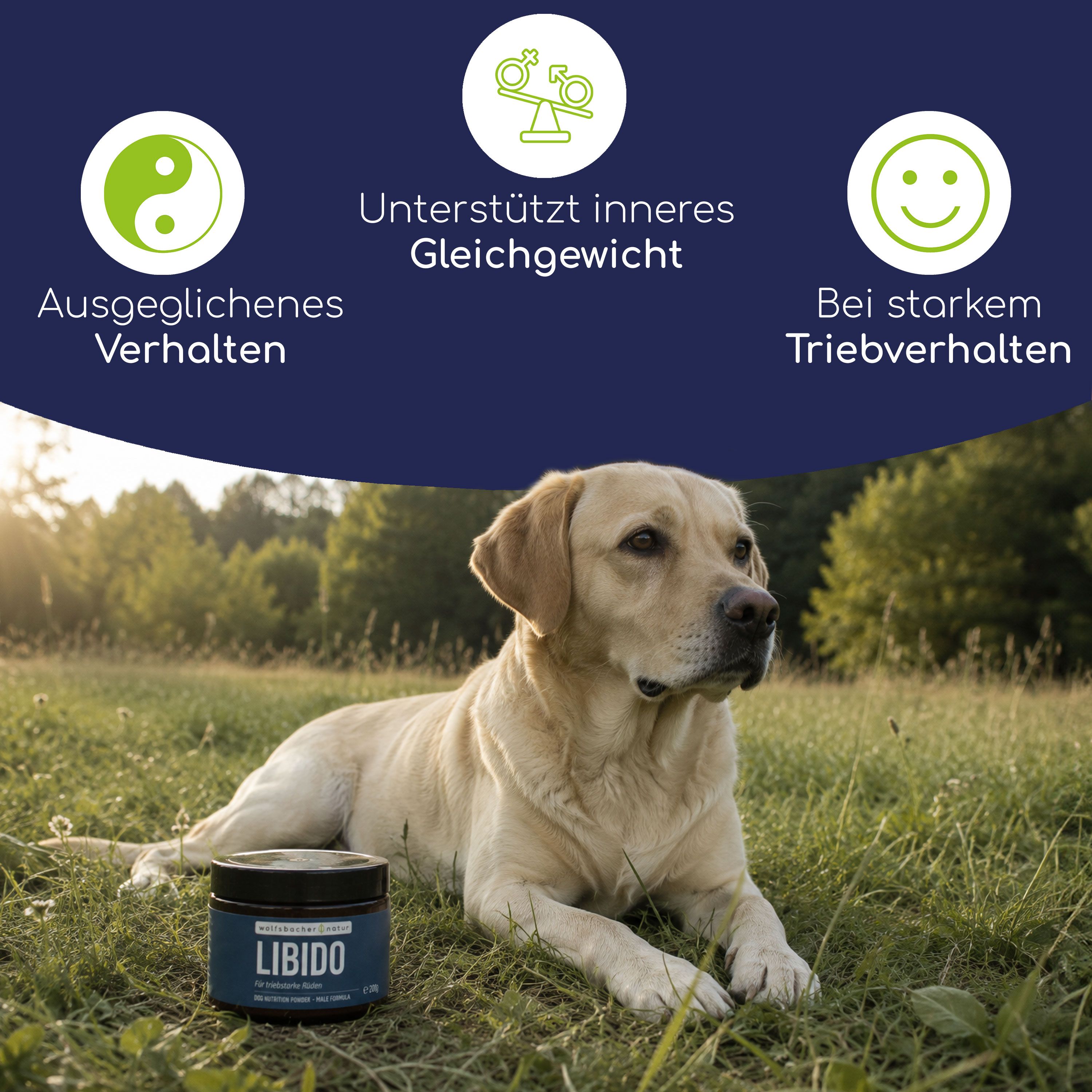 Hund liegt im Gras neben einem Behälter mit Pulver. Symbole zeigen ausgeglichenes Verhalten und inneres Gleichgewicht.