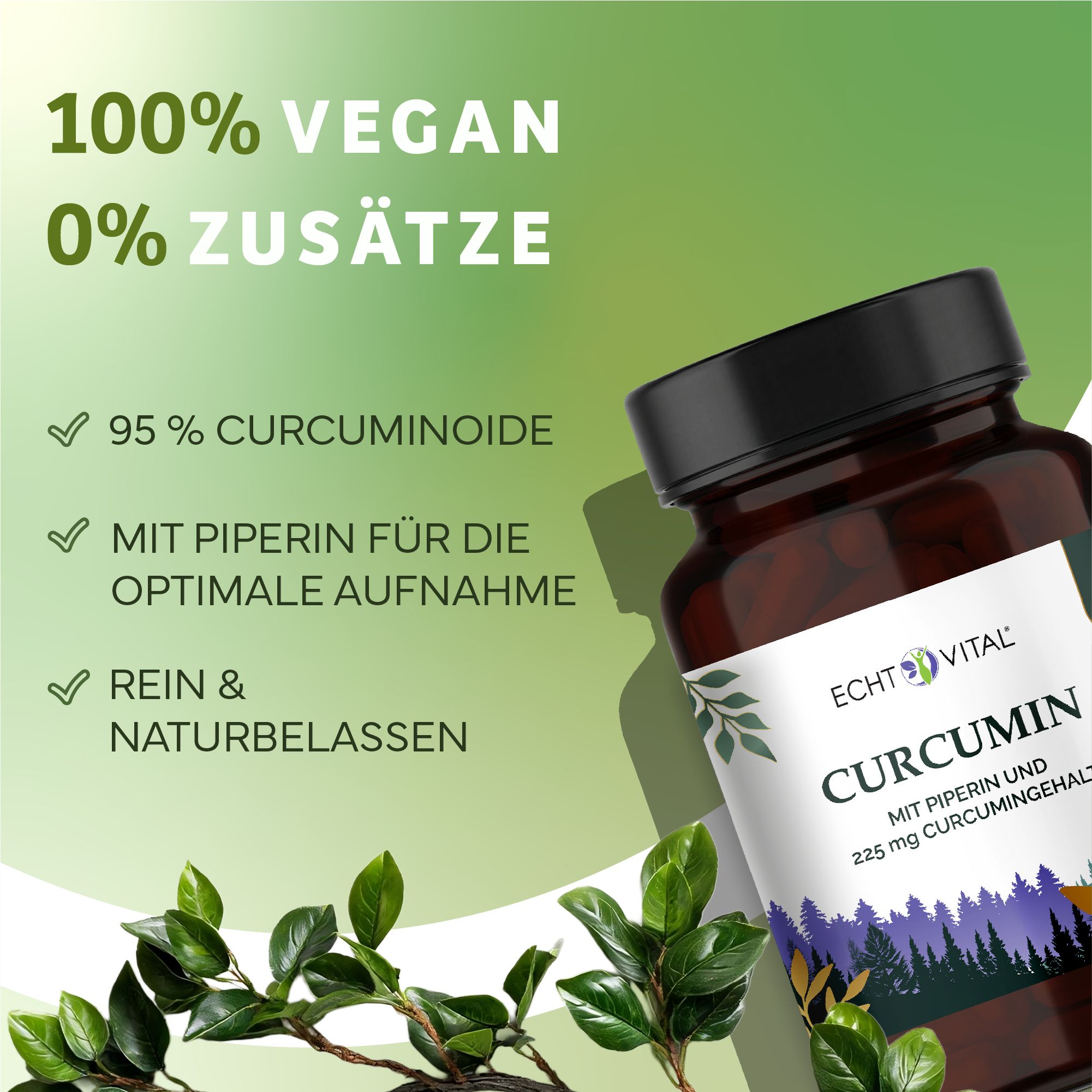 Braune Flasche mit schwarzem Deckel. Aufschrift: Echt Vital Curcumin. Grün-weiße Etikett mit Produktinformationen. Blätter im Vordergrund.