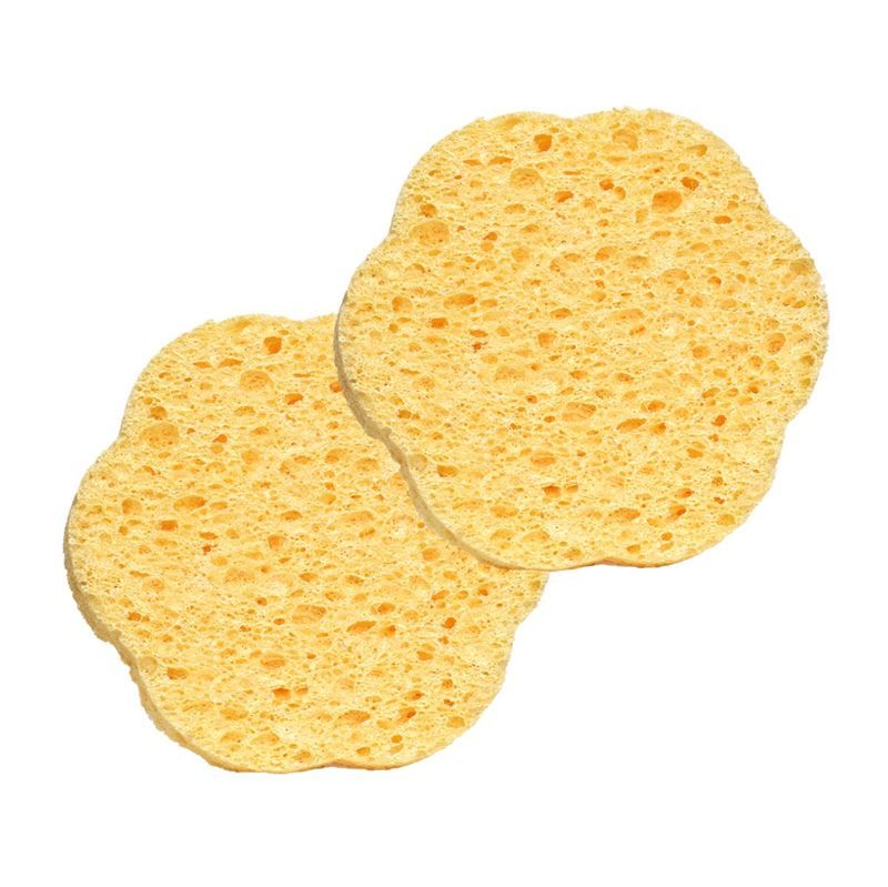 Zwei gelbe, blütenförmige Gesichtsschwämme. Poröse Oberfläche.