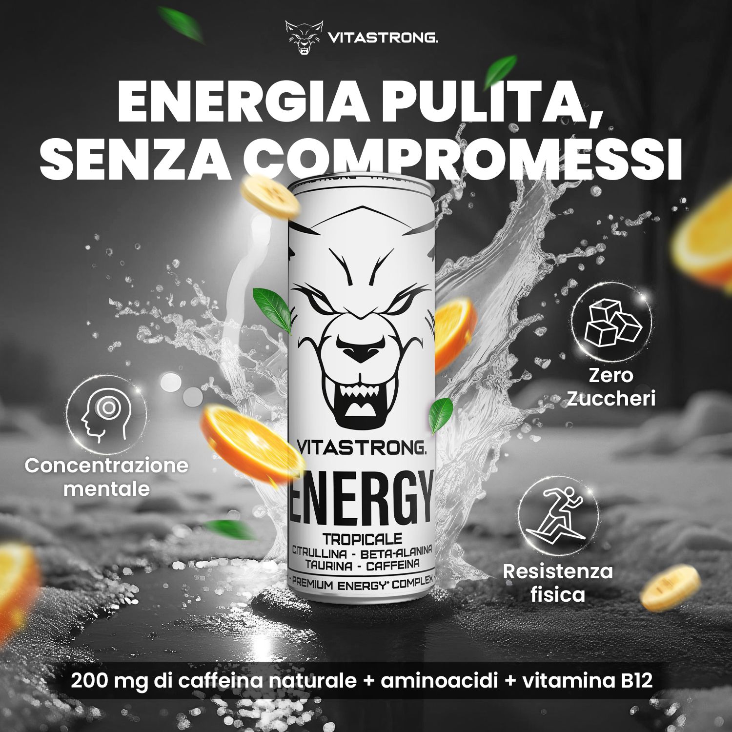 Weiße Dose mit Wolfsgesicht. Text: ENERGY TROPICAL. Grafische Elemente: Orangen, Bananen, Wasser. Zusätze: Konzentration, Ausdauer.