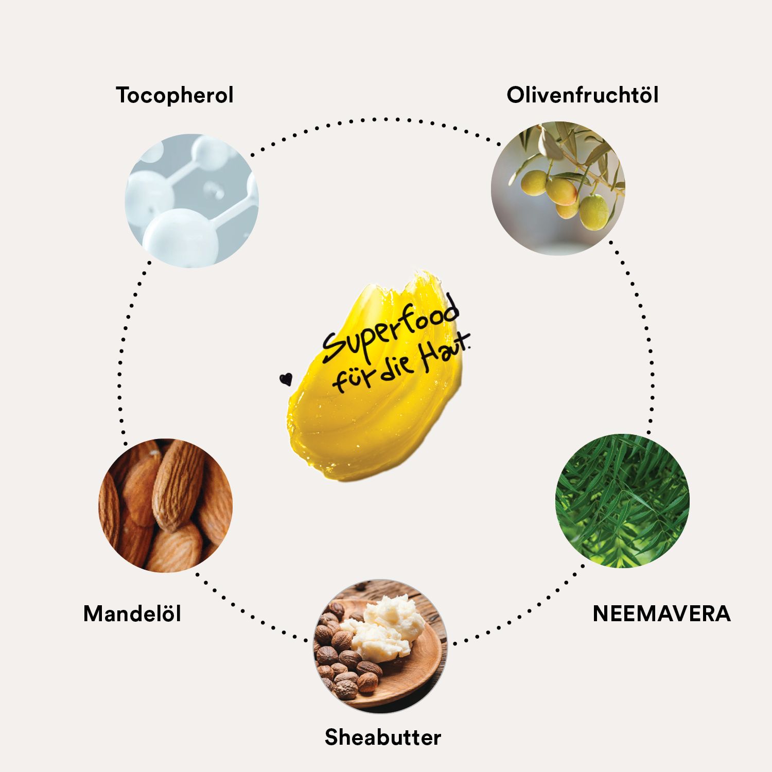 Kreisförmige Anordnung von Inhaltsstoffen: Tocopherol, Olivenfruchtöl, Mandelöl, Sheabutter, Neem.