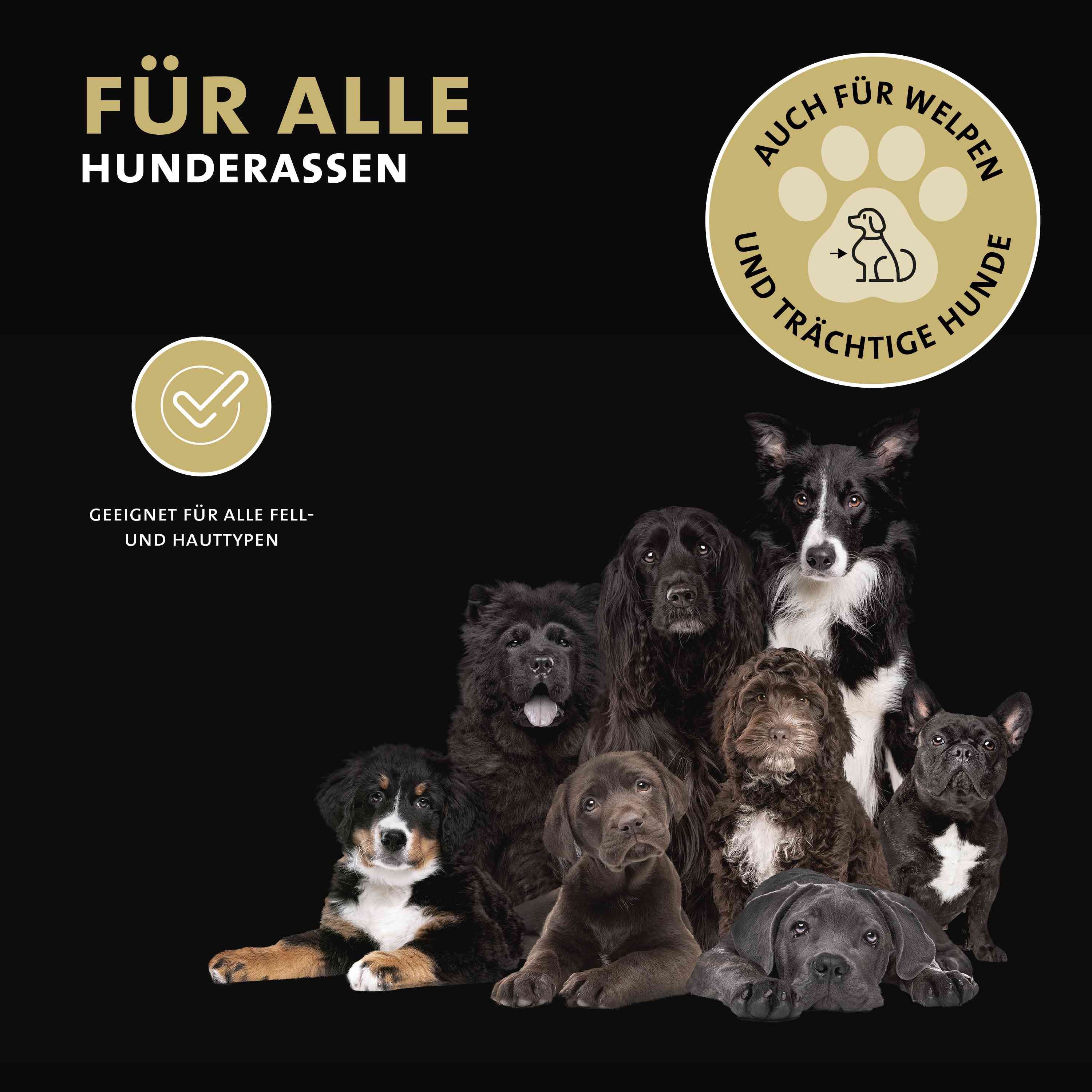 Verschiedene Hunde. Text: Für alle Hunderassen. Auch für Welpen und trächtige Hunde. Geeignet für alle Fell- und Hauttypen.