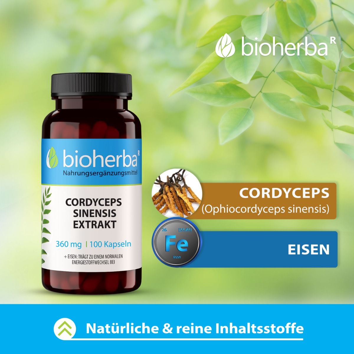Braune Flasche Bioherba Cordyceps Sinensis Extrakt Kapseln. 360 mg, 100 Kapseln. Abbildung von Cordyceps und Eisen.