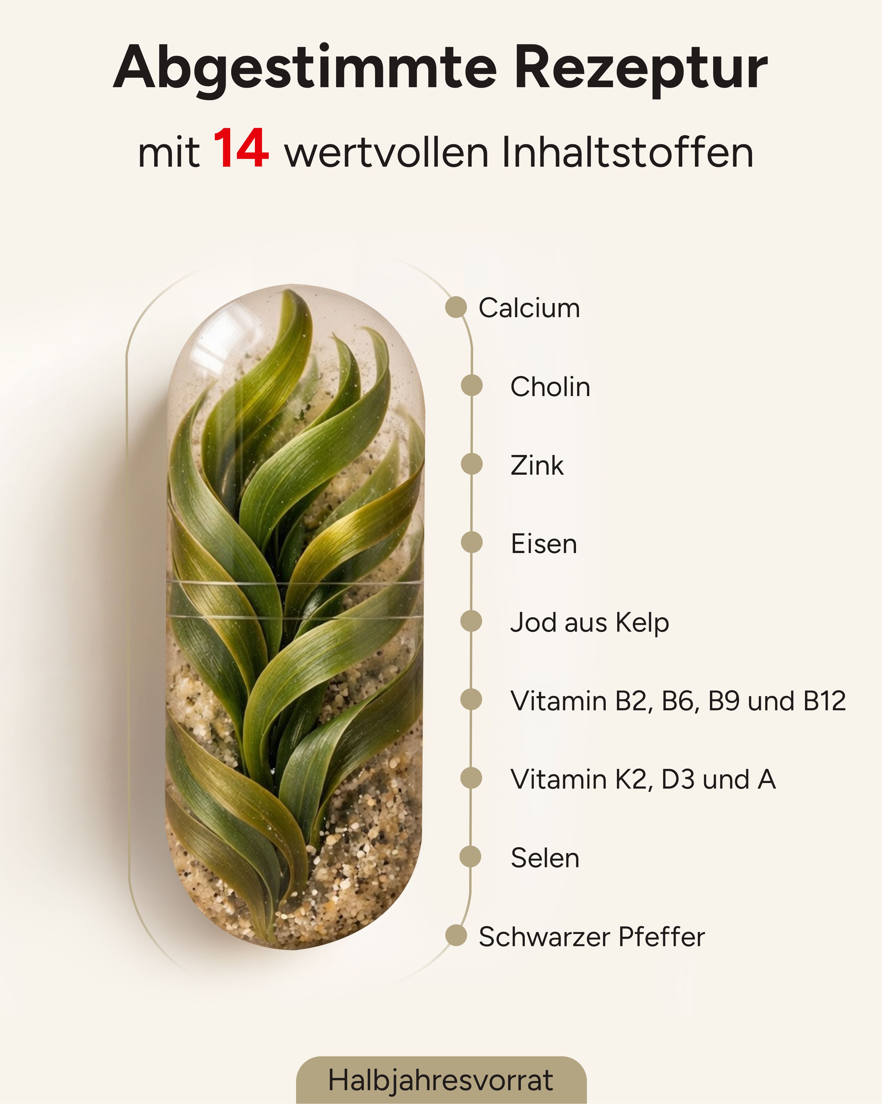 Kapsel mit Pflanzen. Text: Abgestimmte Rezeptur mit 14 wertvollen Inhaltsstoffen. Auflistung: Calcium, Cholin, Zink, Eisen, Jod, Vitamine, Selen, Pfeffer.