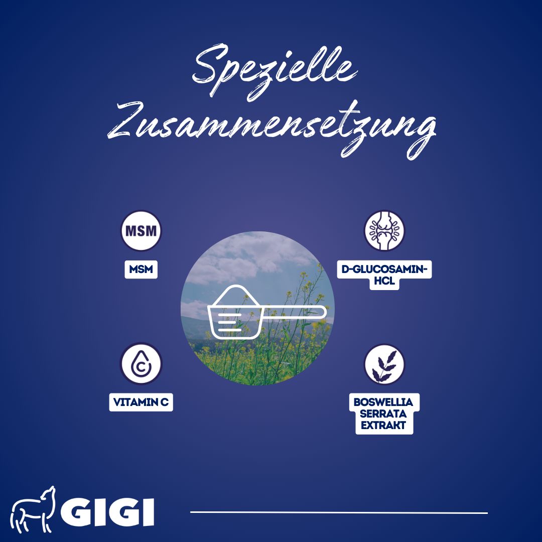 Grafik mit Inhaltsstoffen: MSM, Vitamin C, D-Glucosamin-HCL, Boswellia serrata Extrakt. GIGI Logo.