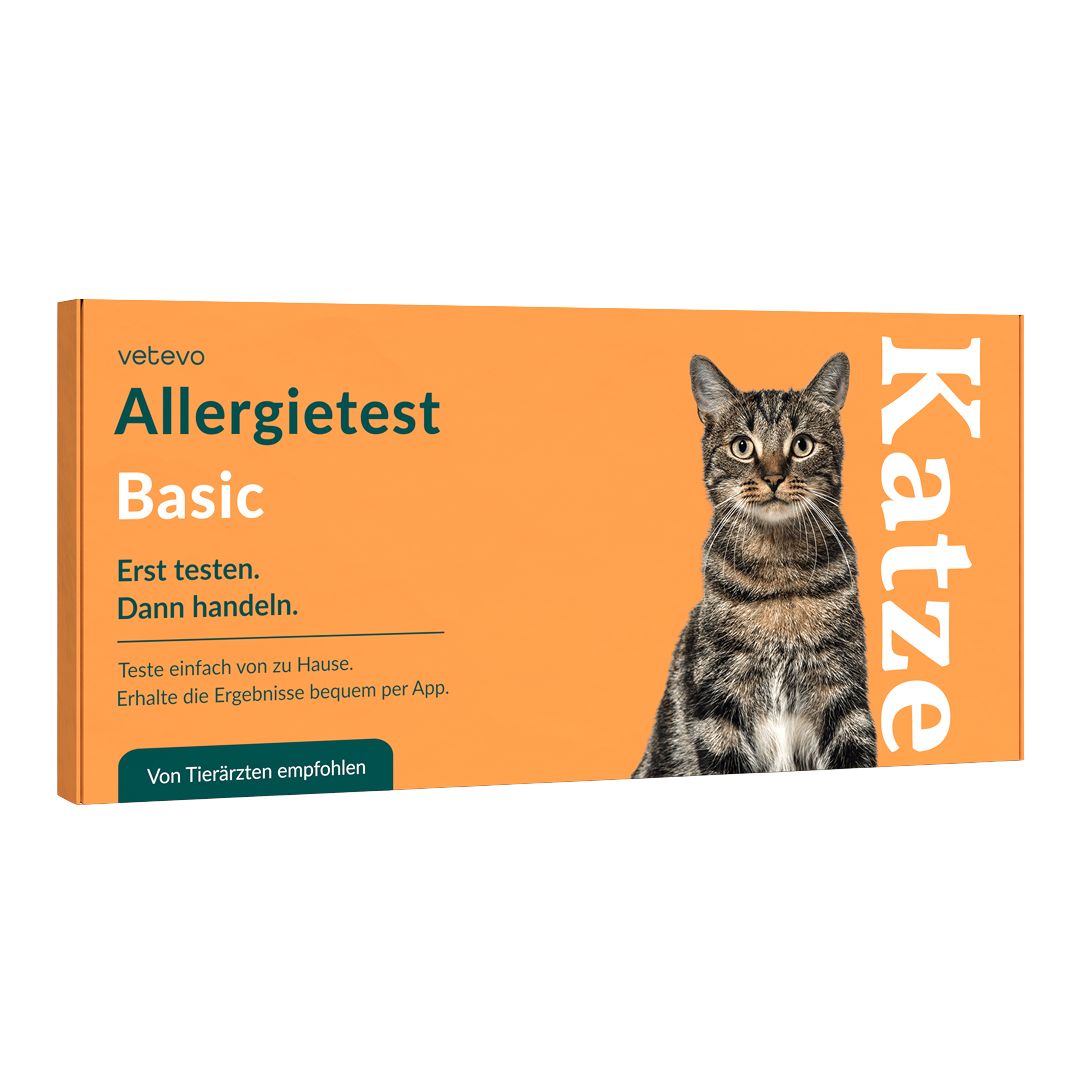 Orangefarbene Schachtel mit Produktinformationen. Allergietest Basic Katze. Bild einer Katze. Von Tierärzten empfohlen.