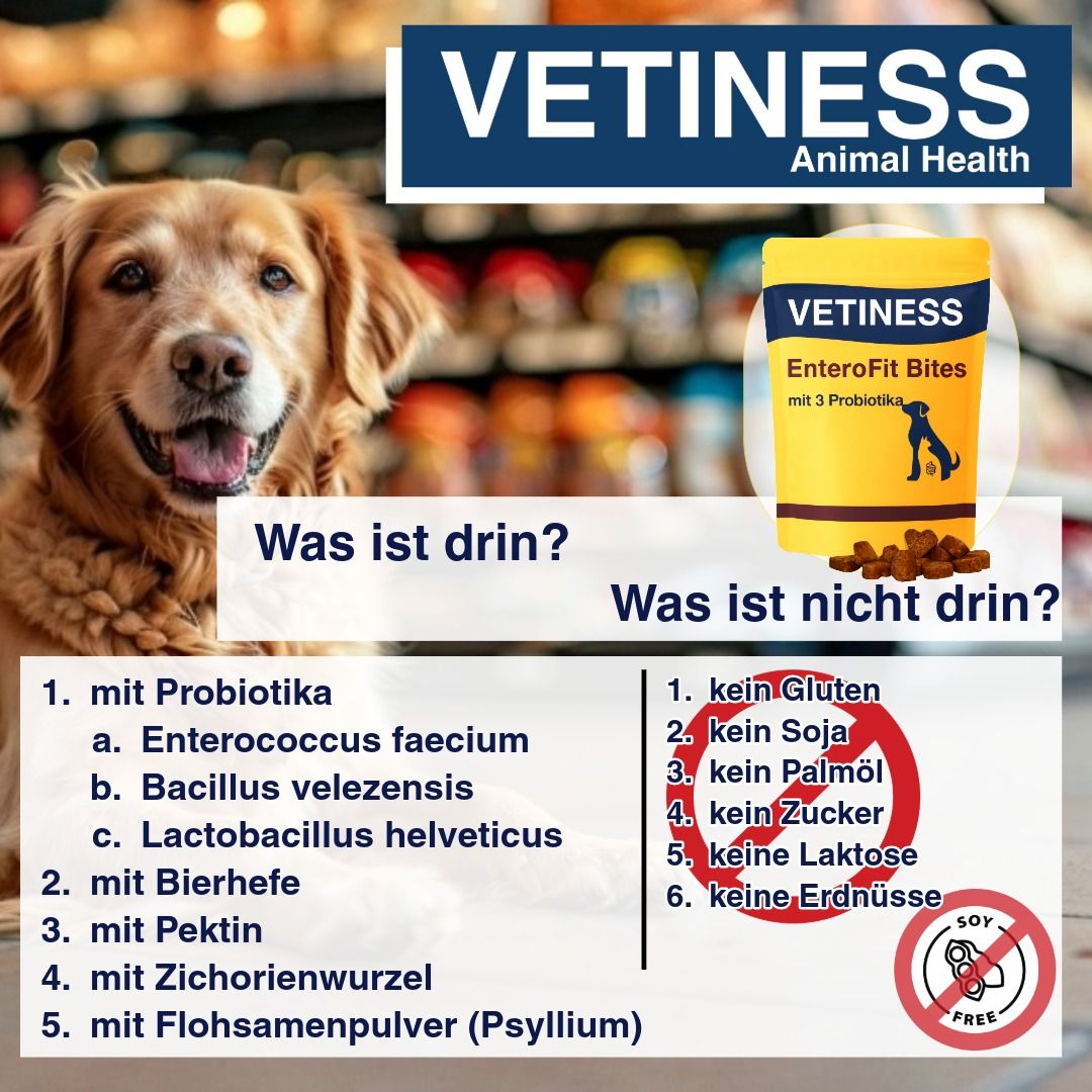 Gelbe Verpackung Vetiness EnteroFit Bites. Text: Was ist drin? Mit Probiotika, Bierhefe, Pektin, Zichorienwurzel, Flohsamenpulver. Ohne Gluten, Soja, Palmöl, Zucker, Laktose, Erdnüsse.