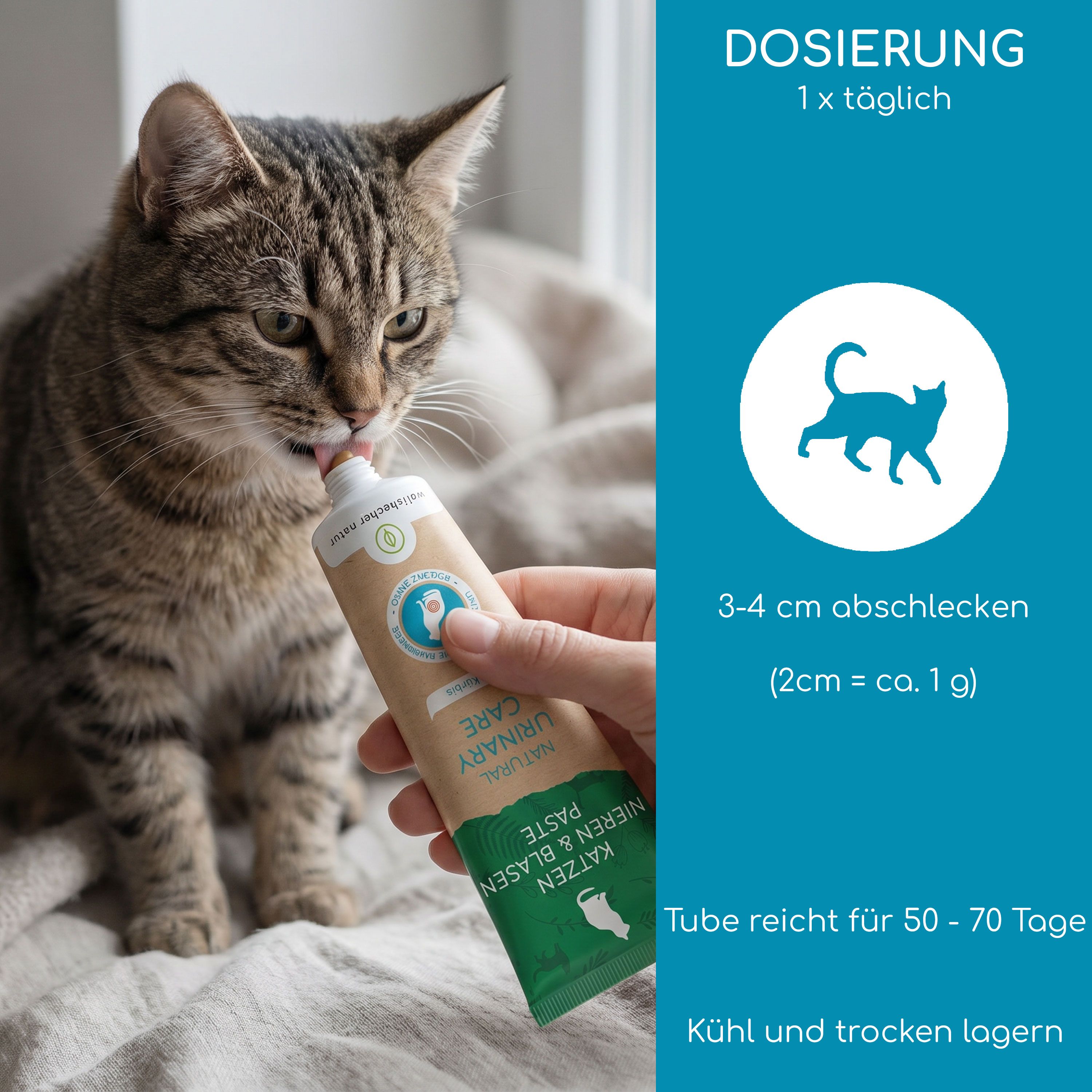 Wolfsbacher Natur Nieren & Blasen Paste