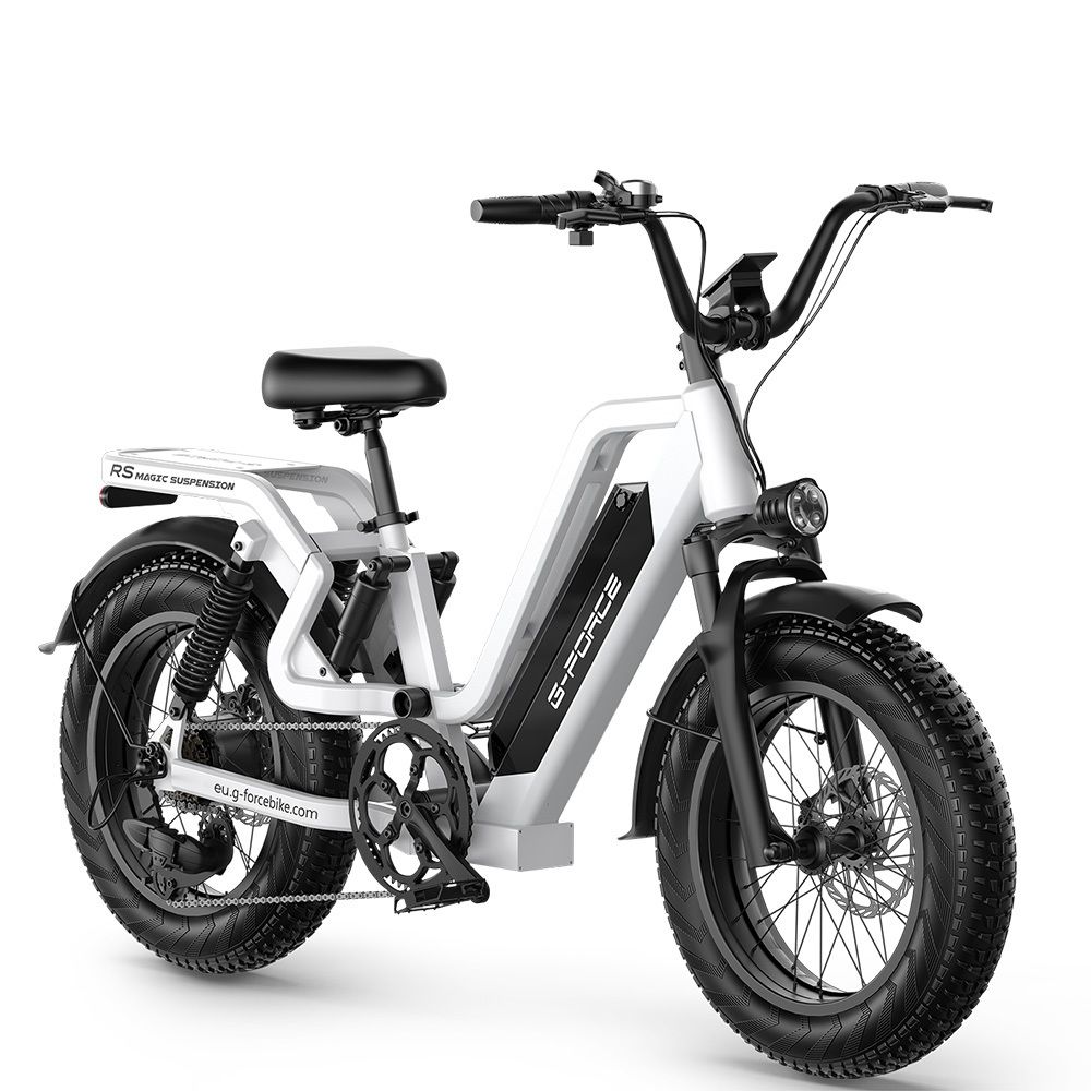 G-FORCE RS ST 20-Zoll-All-Terrain-E-Bike, 48V 20Ah Akku