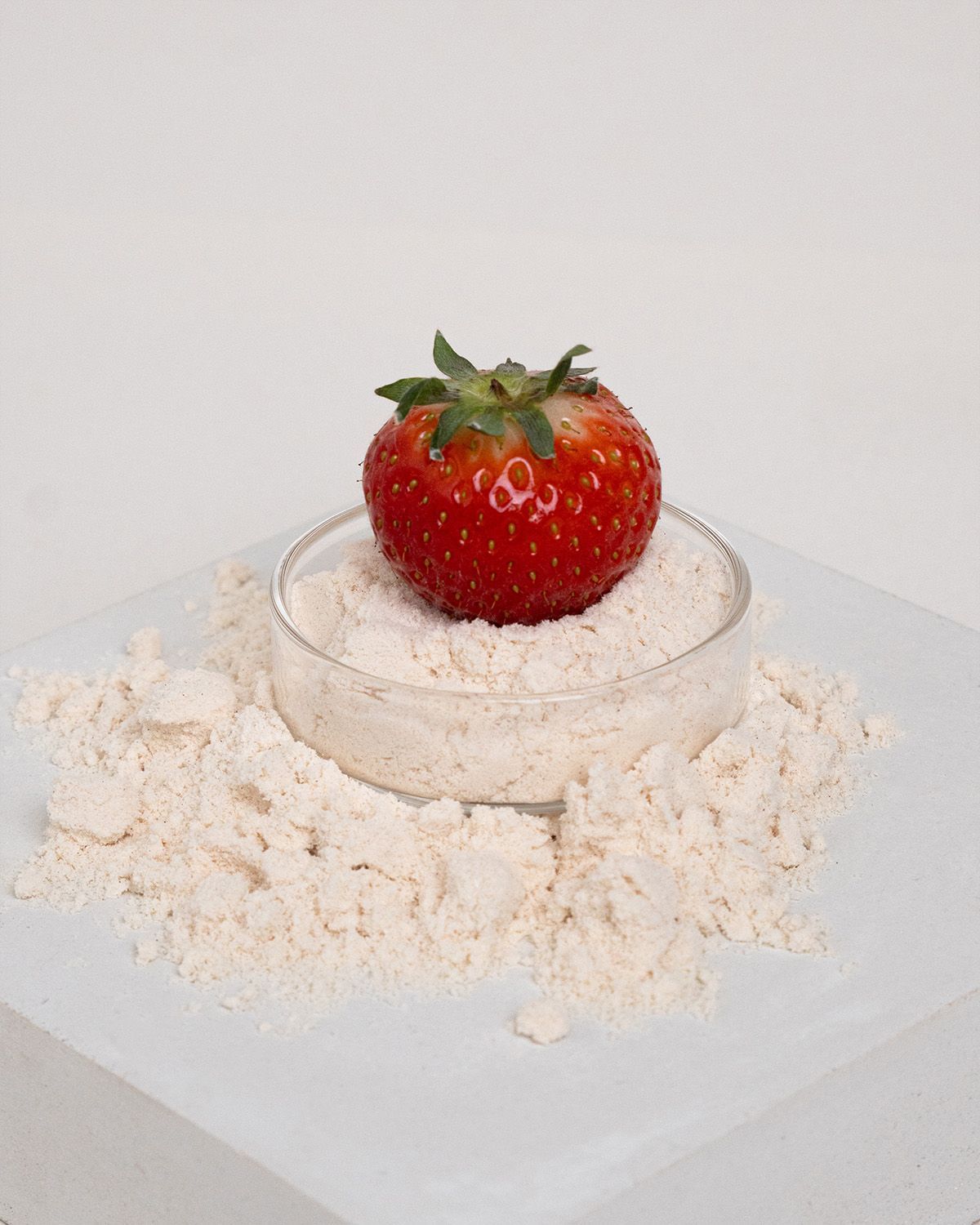 Erdbeere auf einer Schale mit Proteinpulver. Das Pulver liegt verstreut. Auf weißem Untergrund.