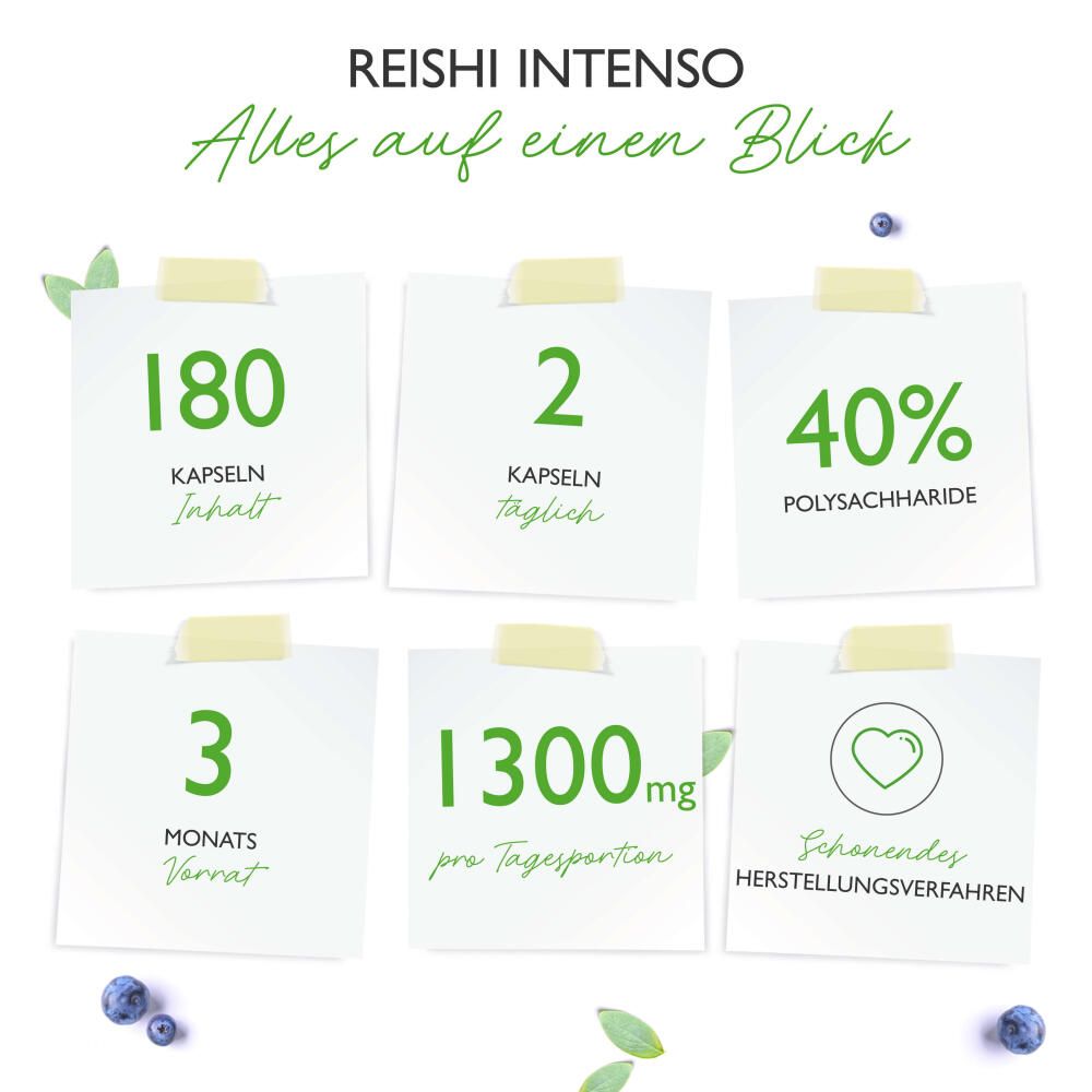 Infografik mit Informationen: 180 Kapseln, 2 Kapseln täglich, 40% Polysaccharide, 3 Monate Vorrat, 1300mg pro Tagesportion, schonendes Herstellungsverfahren.